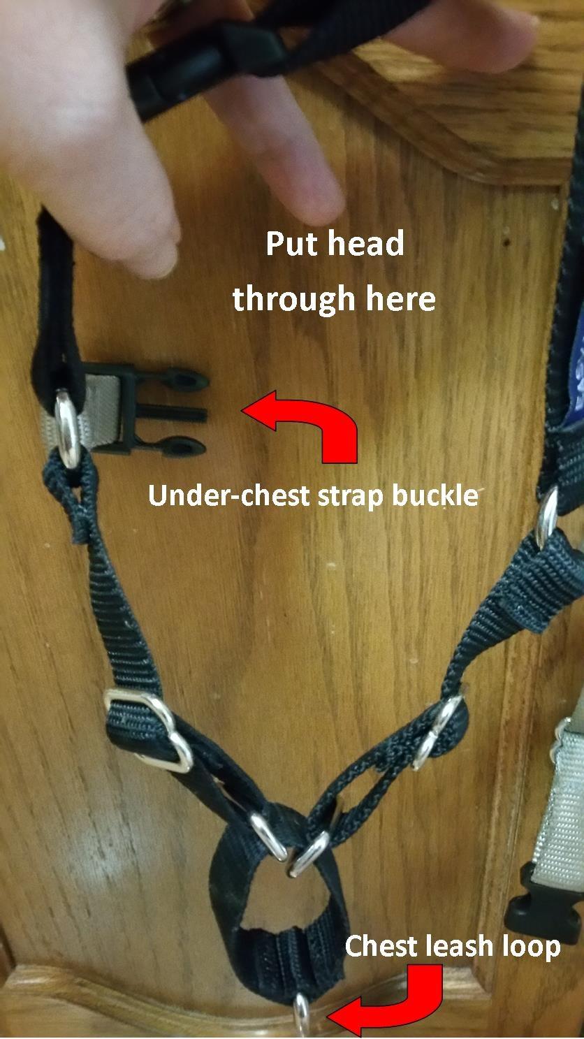 PetSafe Easy Walk Harness, No Pull Dog Harness, Medium, Raspberry customer photo 2