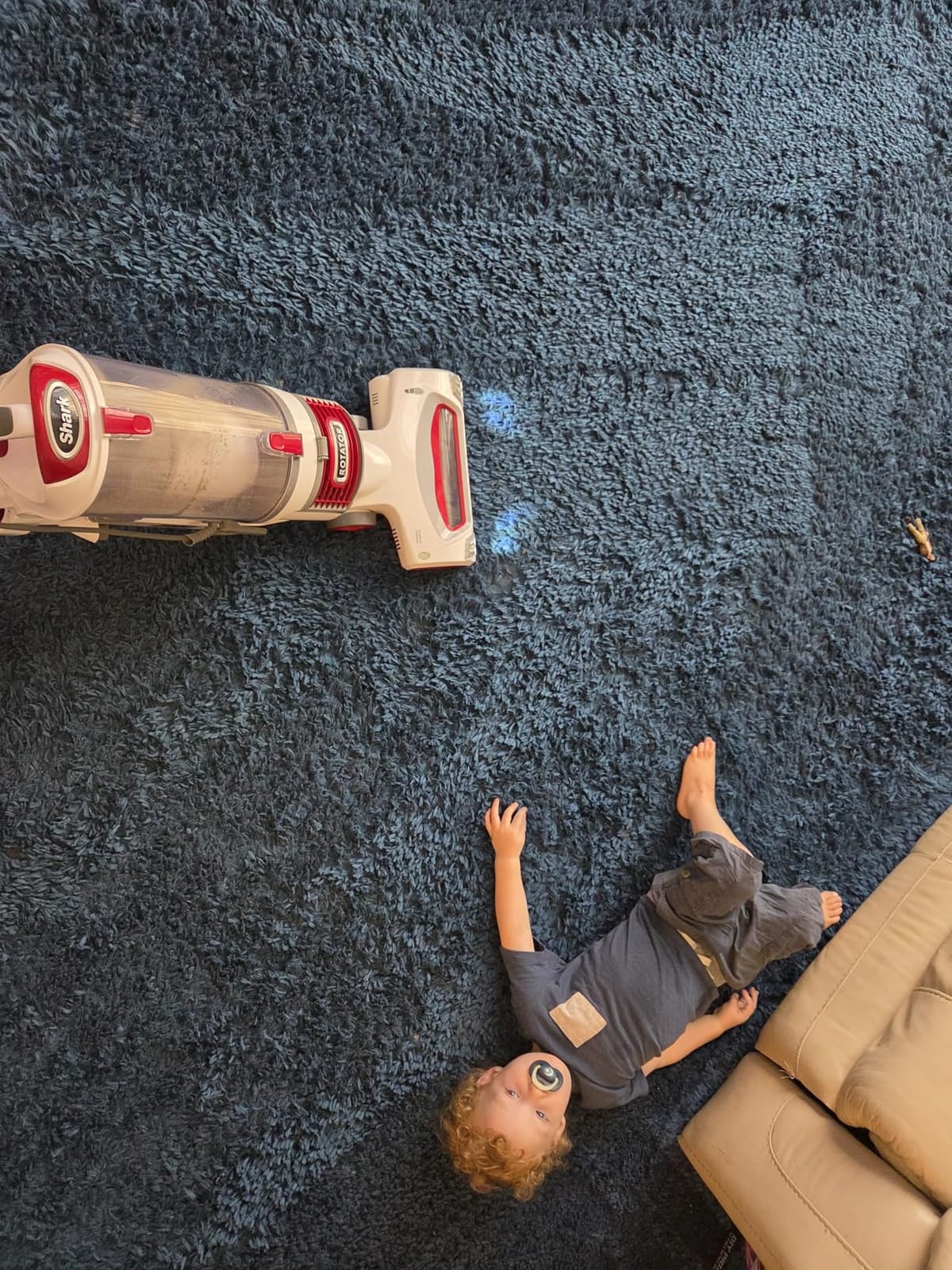 Shark Rotator Lift-Away Upright Vacuum with HEPA Filter, White/Red, NV501 customer photo 1