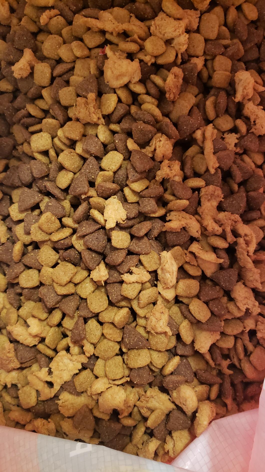 Purina ONE Plus Large Breed High Protein Puppy Food, Chicken, 15 lb Bag customer photo 1