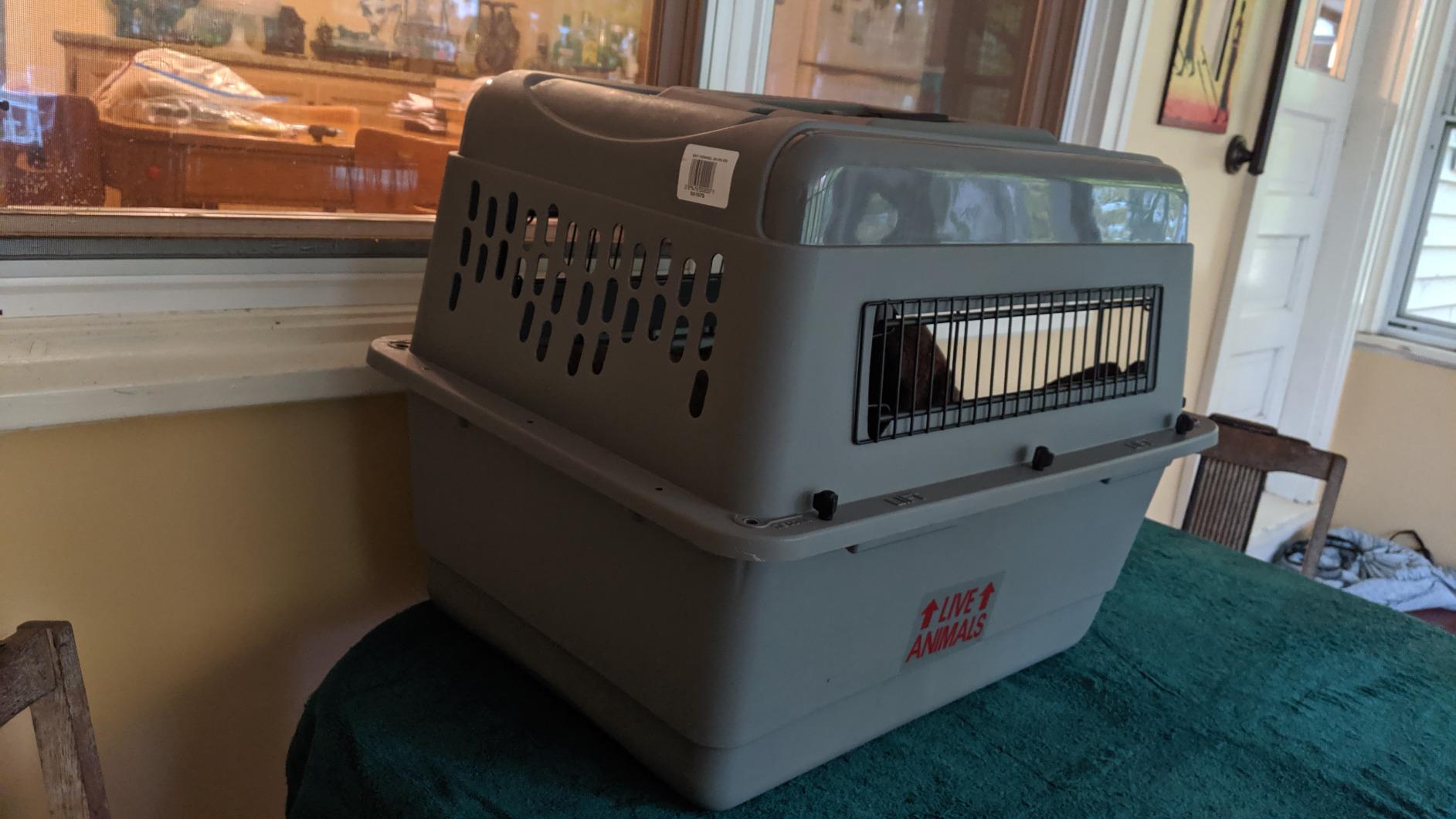 Petmate Sky Kennel for Air Travel, 28in Dog Crate for Pets 15 to 30lbs customer photo 2