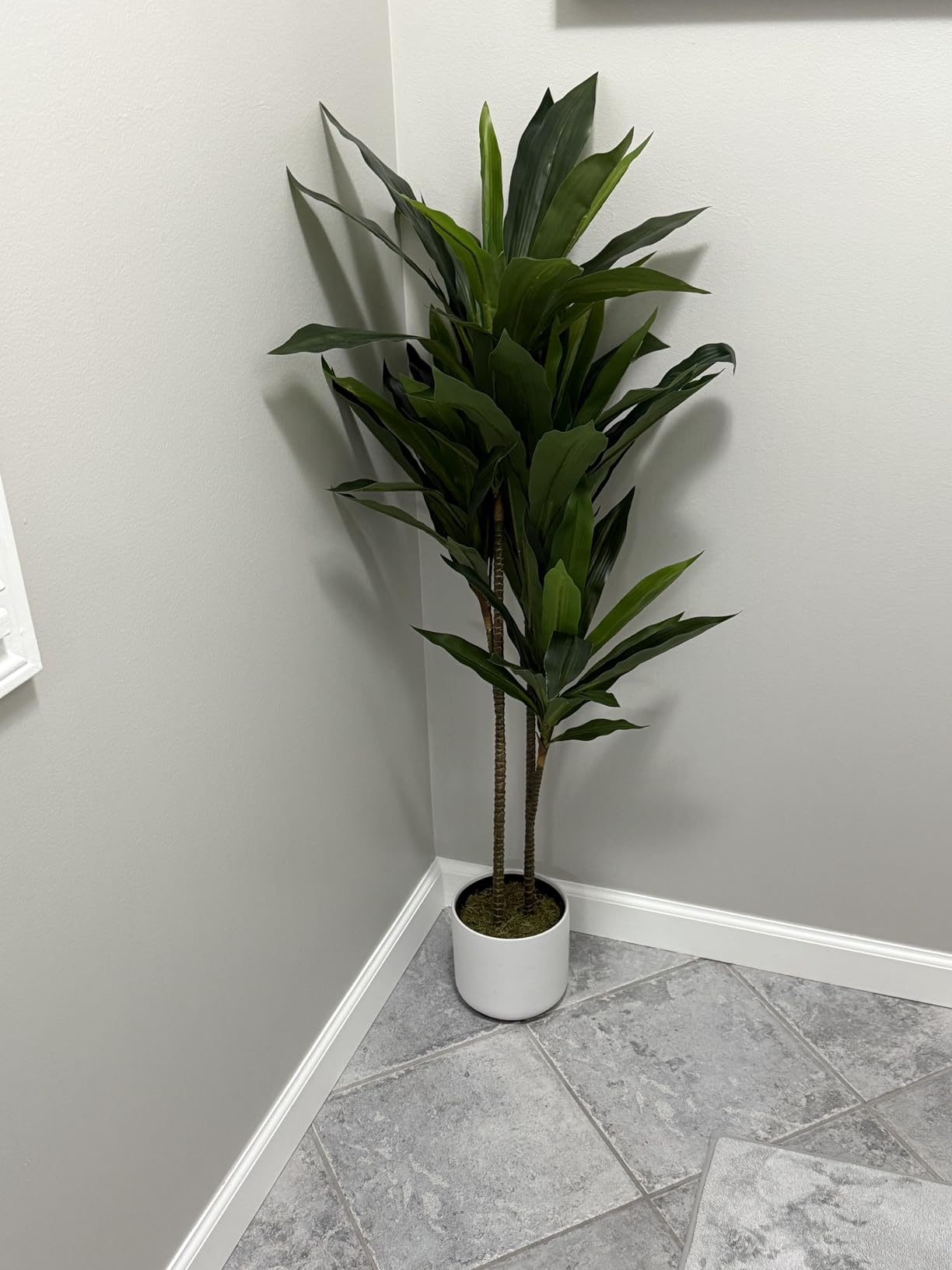 Nearly Natural 48 in Artificial Dracaena Real Touch Plant with Pot customer photo 1