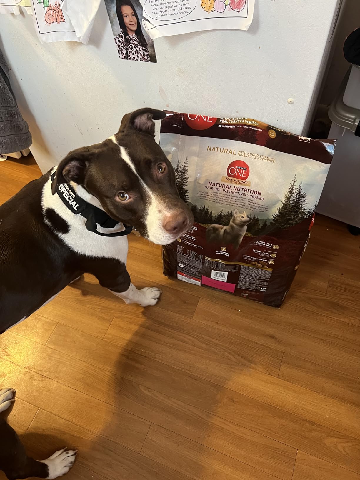 Purina ONE True Instinct Dry Dog Food, Real Turkey & Venison, 15 lb Bag customer photo 2