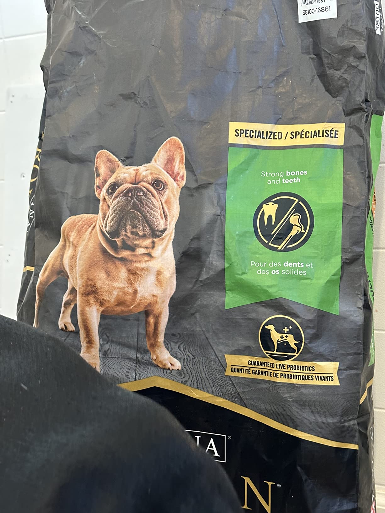 Purina Pro Plan Small Breed Dry Dog Food, Shredded Blend, 6 lb Bag customer photo 1