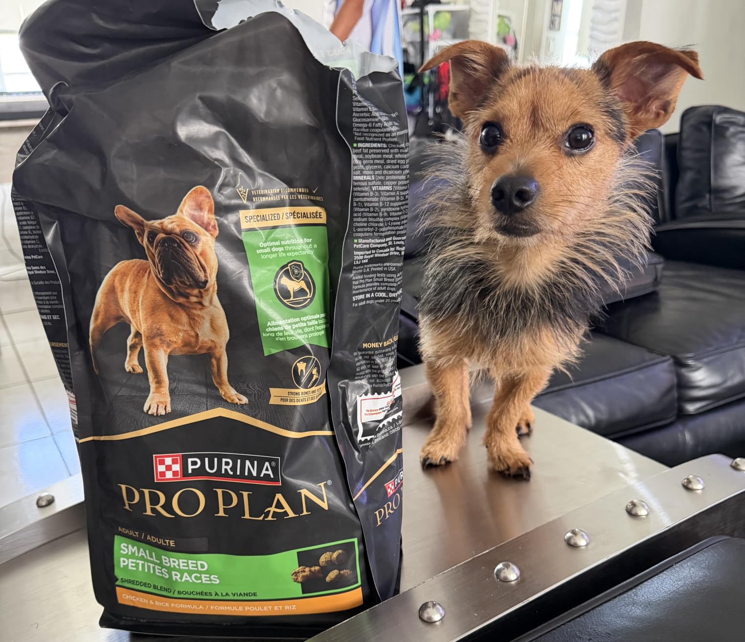 Purina Pro Plan Small Breed Dry Dog Food, Shredded Blend, 6 lb Bag customer photo 2
