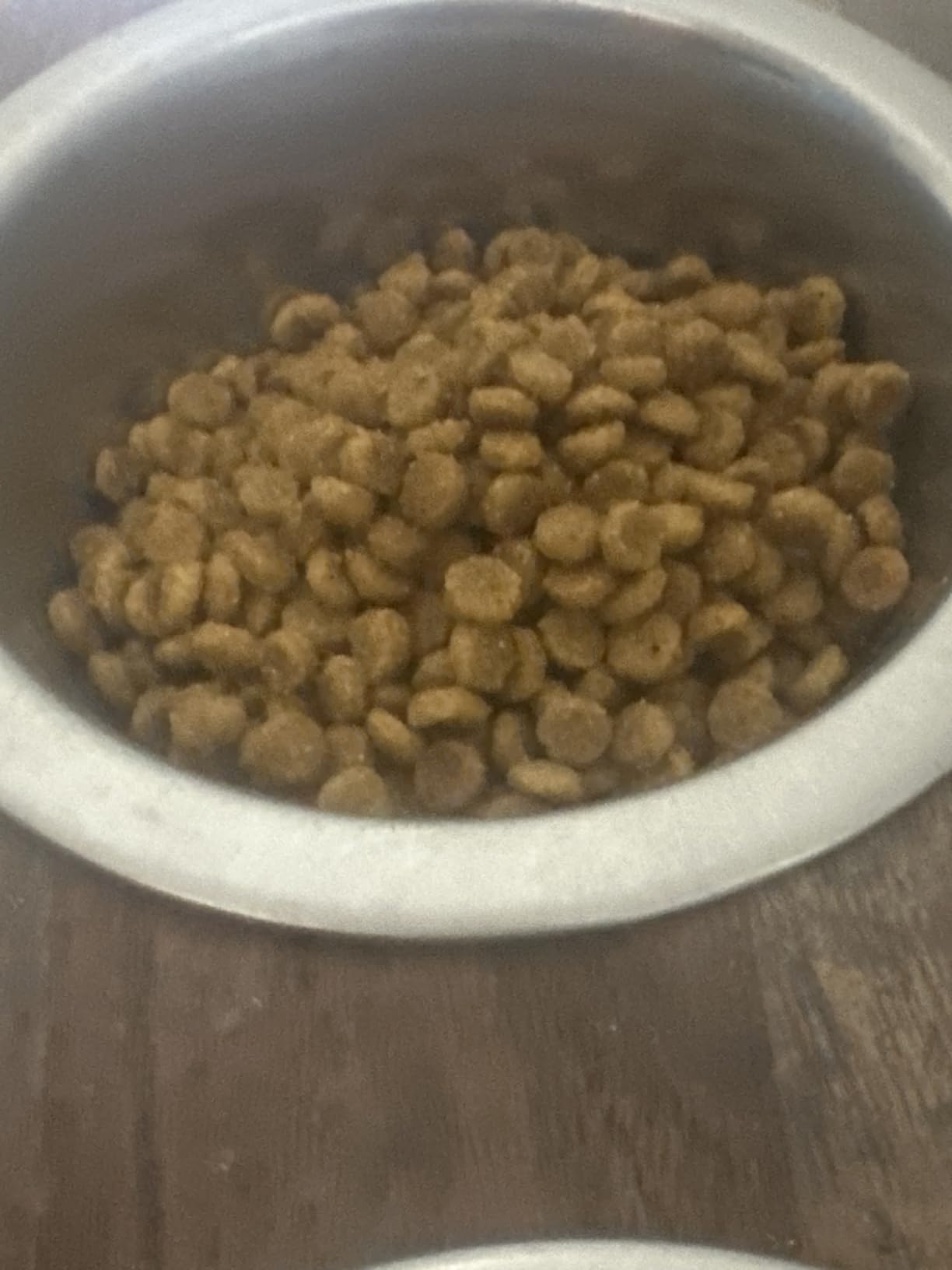 Hill's Science Diet Adult 1-6 Small & Mini Dry Dog Food customer photo 2