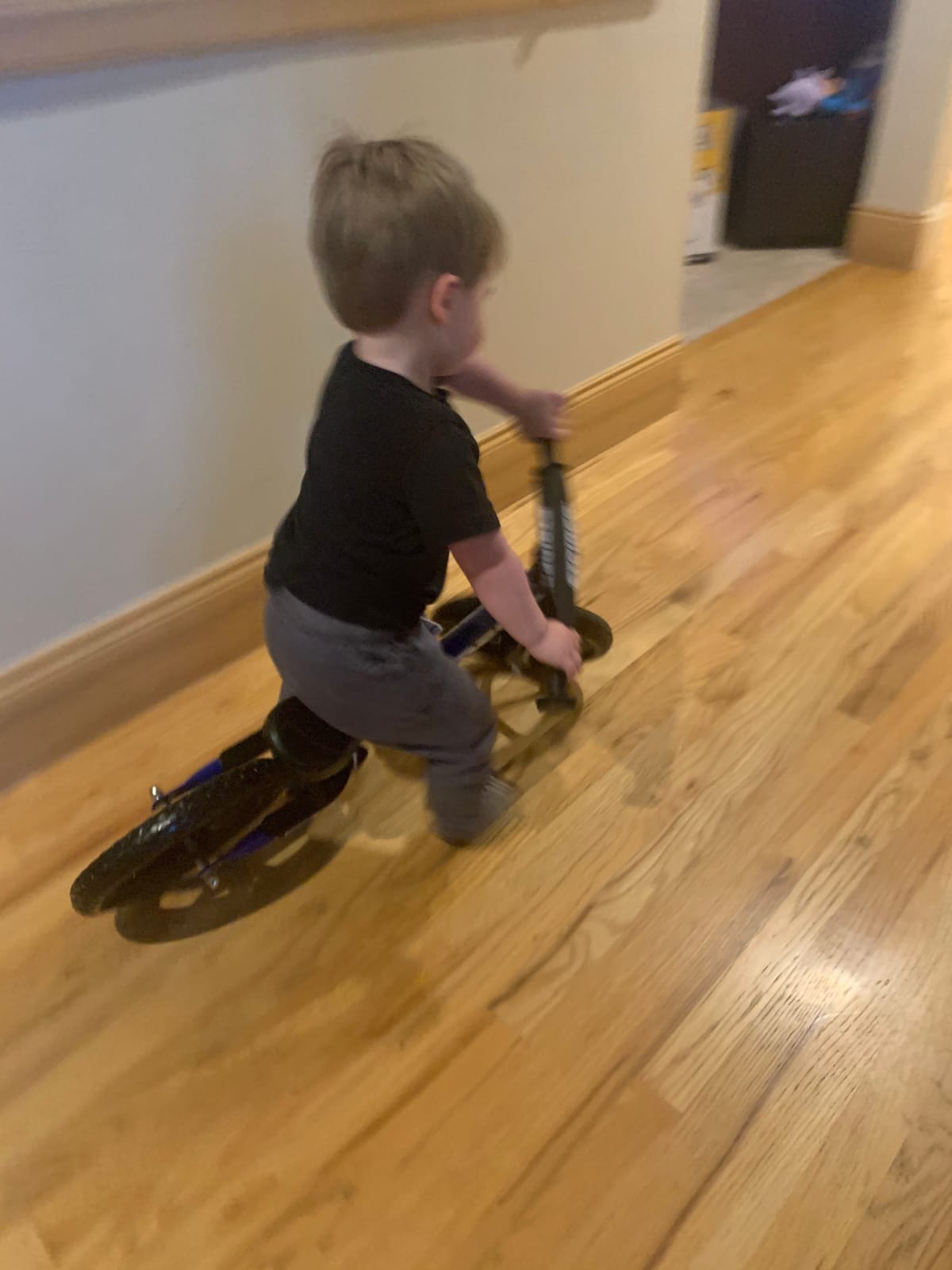 Strider 12 Sport, No Pedal Balance Bike for Kids Ages 1–4 Years, Green customer photo 1