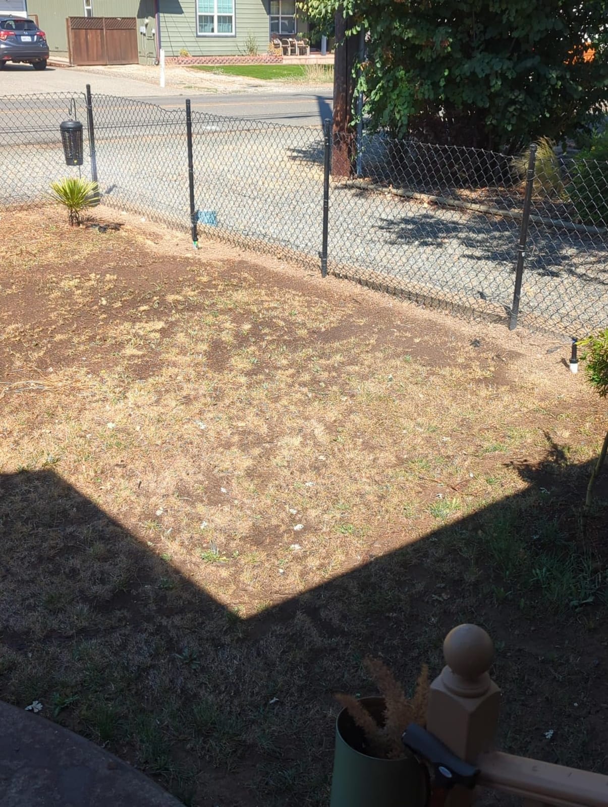 Rain Bird 32ETI DIY Install In-Ground Automatic Sprinkler Kit customer photo 1