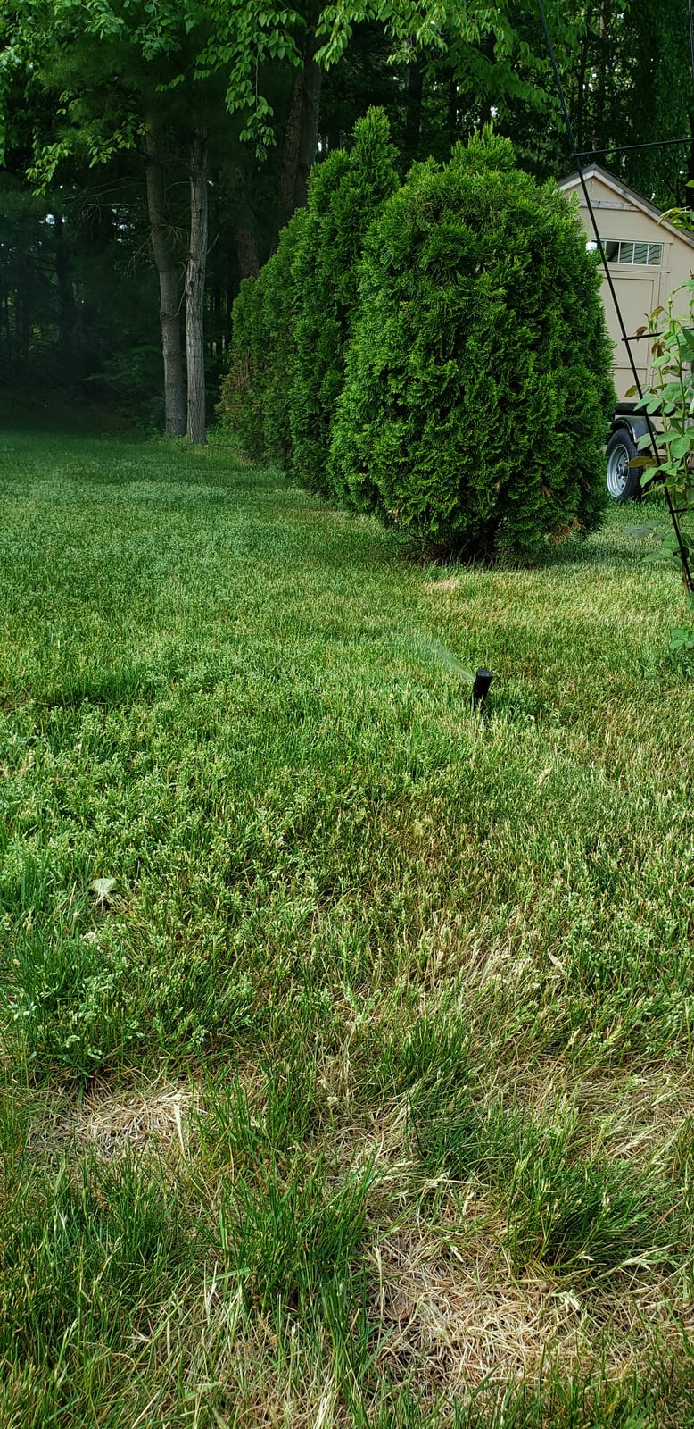 Rain Bird 32ETI DIY Install In-Ground Automatic Sprinkler Kit customer photo 2