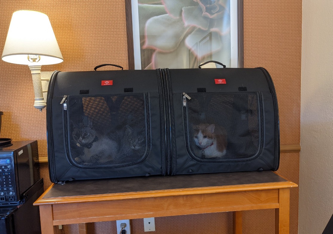 One for Pets Portable 2-in-1 Double Pet Kennel/Shelter, Fabric, Black 20