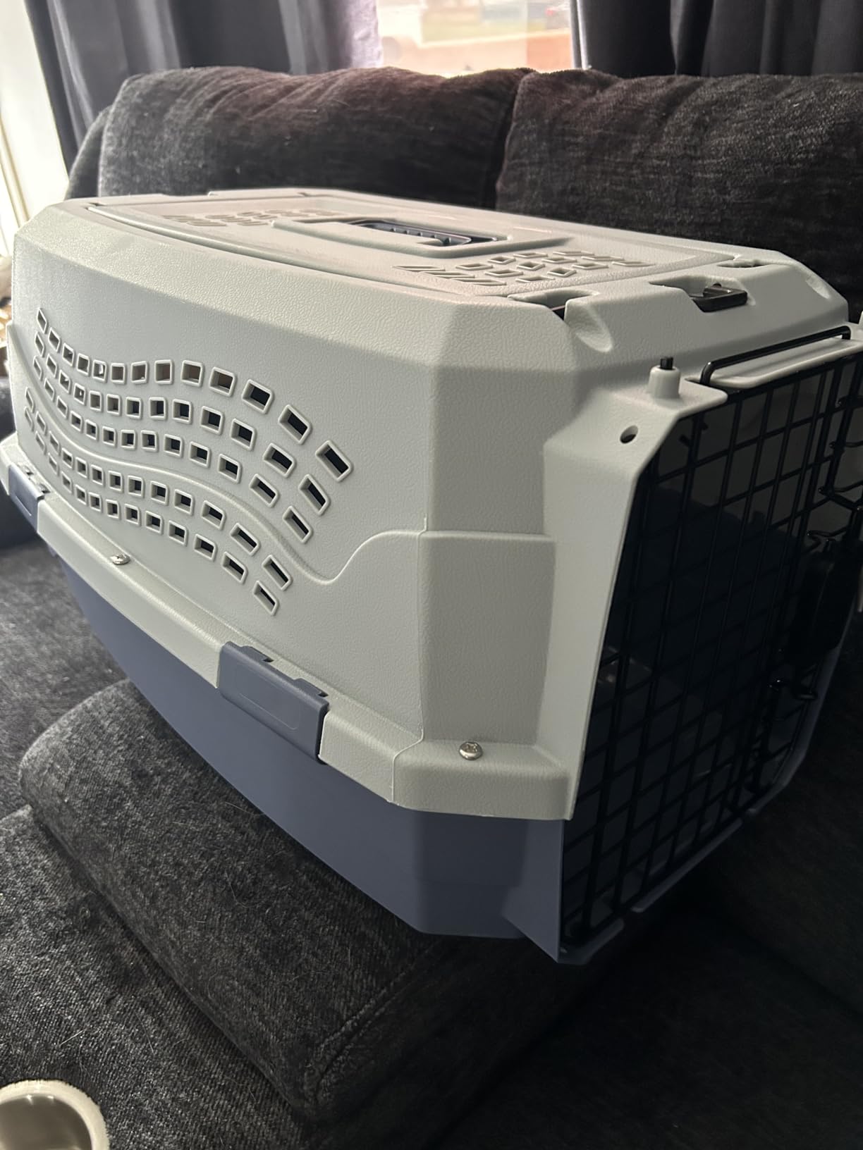 Amazon Basics Sturdy Portable 2-Door Top-Load Hard-Sided Pet Travel Carrier with Secure Ventilation, Handle, Front & Top Entry for Dogs, Cats, 22.8