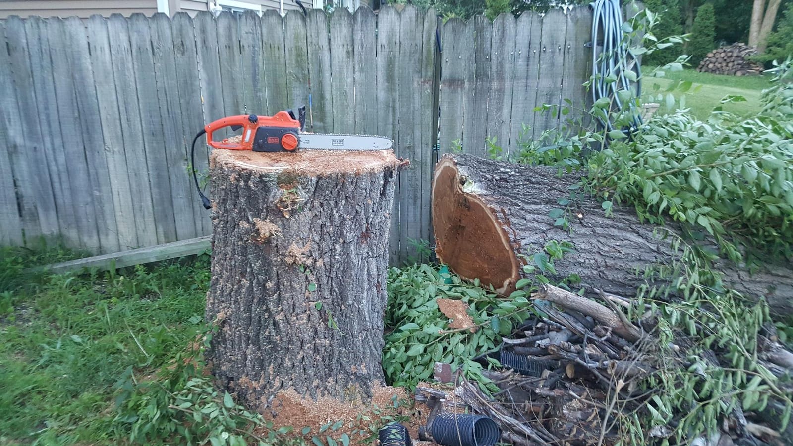 BLACK+DECKER 12 Amp 16 in. Electric Chainsaw (CS1216) customer photo 1