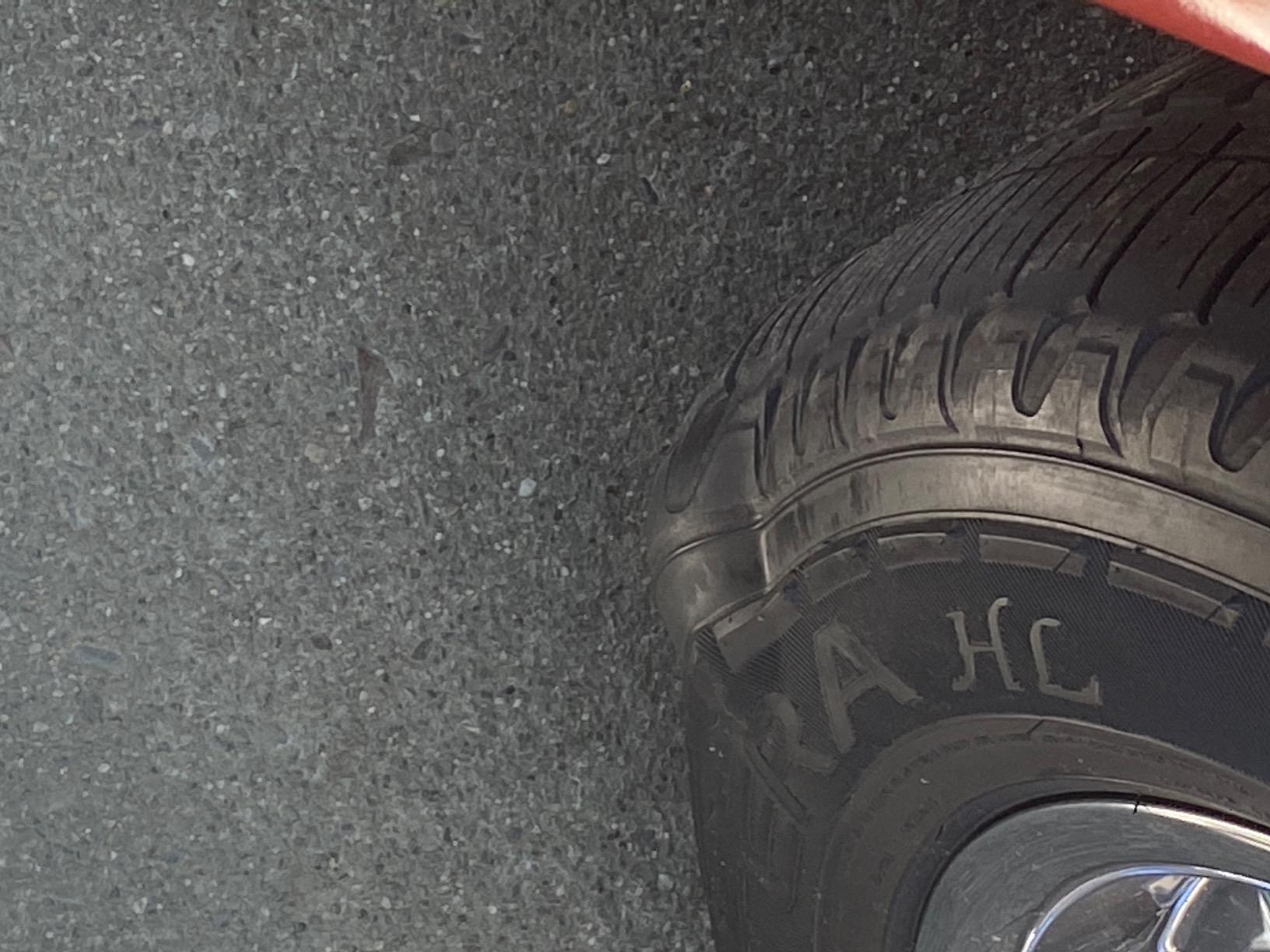 Goodyear Fortera HL All-Season Radial Tire, 265/50R20, Set of 1 customer photo 2