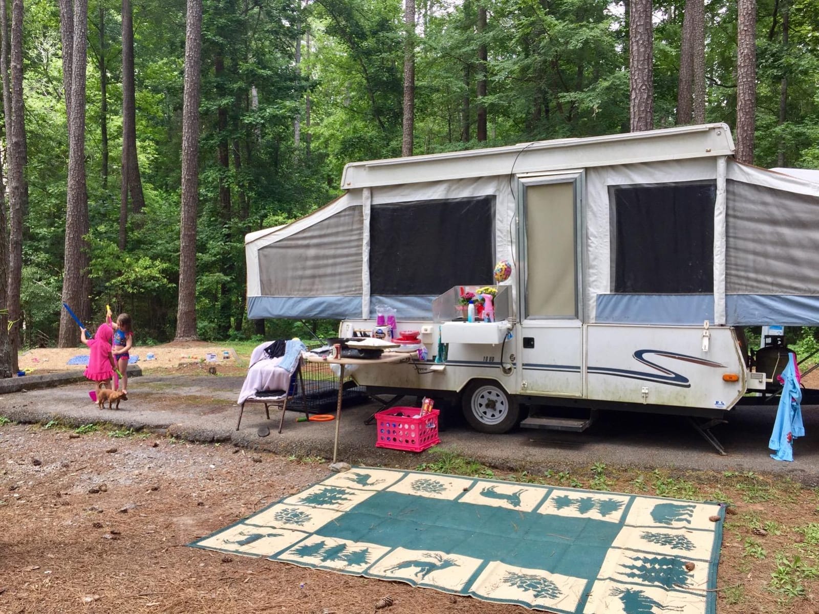 Stylish Camping 226094 6-feet by 9-feet Reversible Mat, Plastic Straw Rug, Large Floor Mat for Outdoors, RV, Patio, Backyard, Picnic, Beach, Camping - Hunter Mat (Green/Beige) customer photo 1