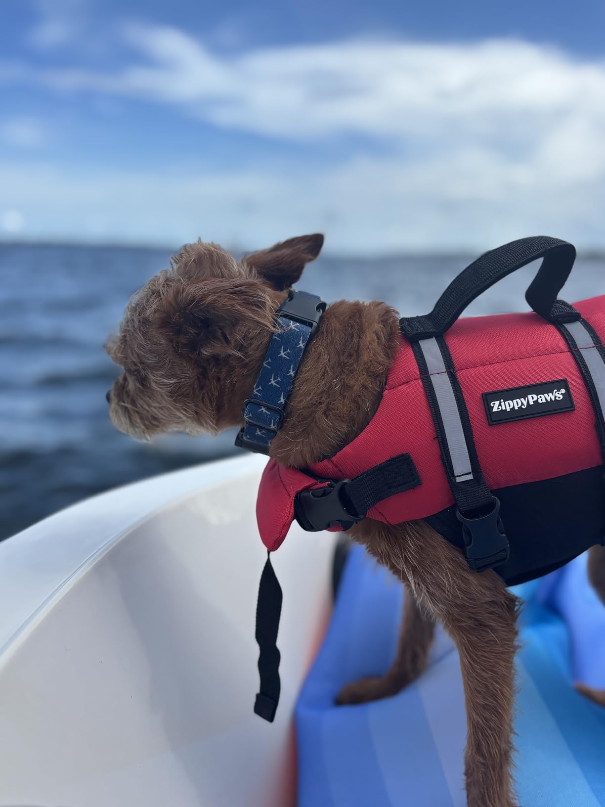 ZippyPaws Adventure Dog Life Jacket - Dog Life Vest for Swimming & Boating customer photo 1