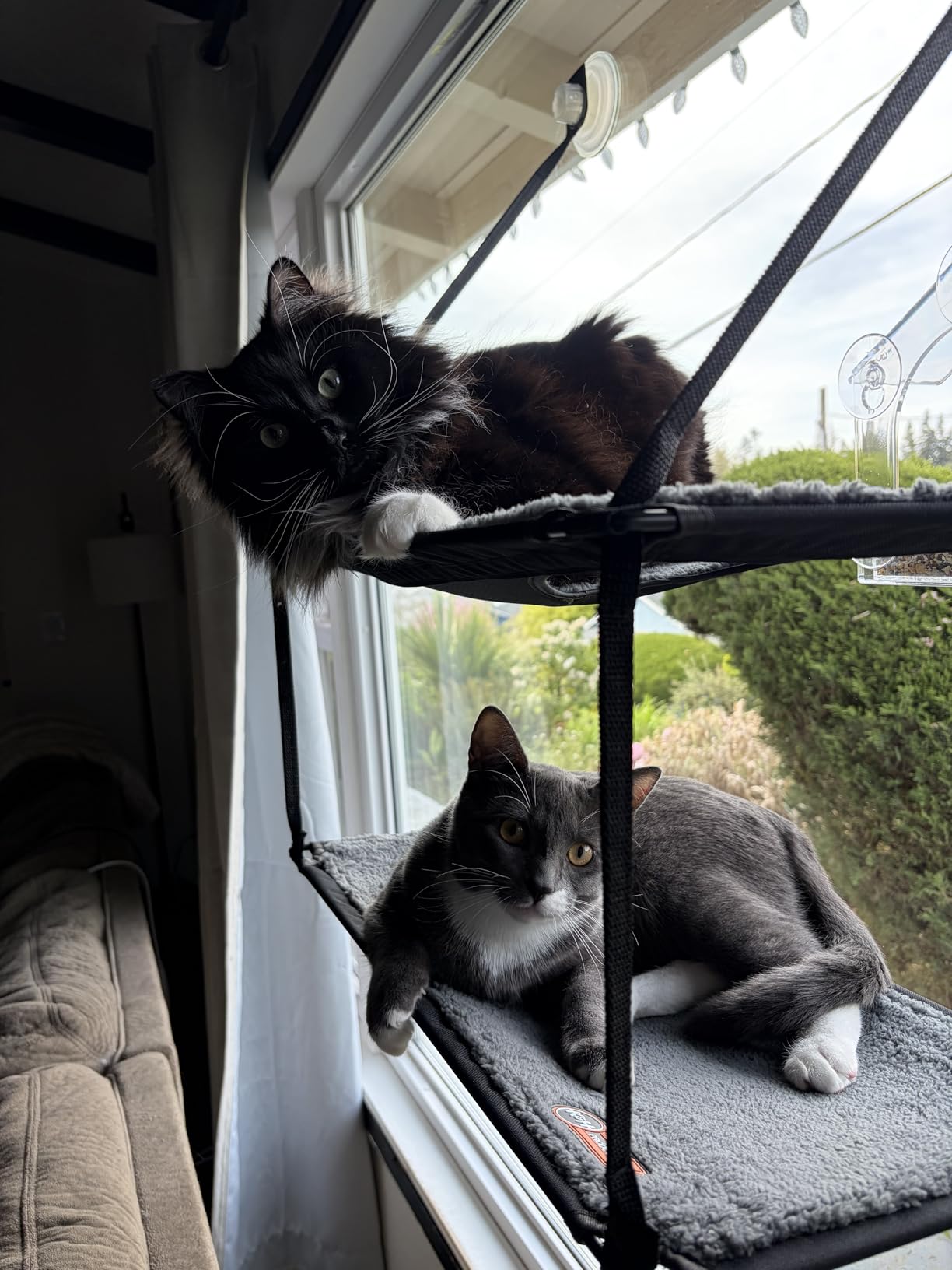 K&H Cat Window Perch, EZ Mount Double Stack Kitty Sill For Large Cats, Gray customer photo 1