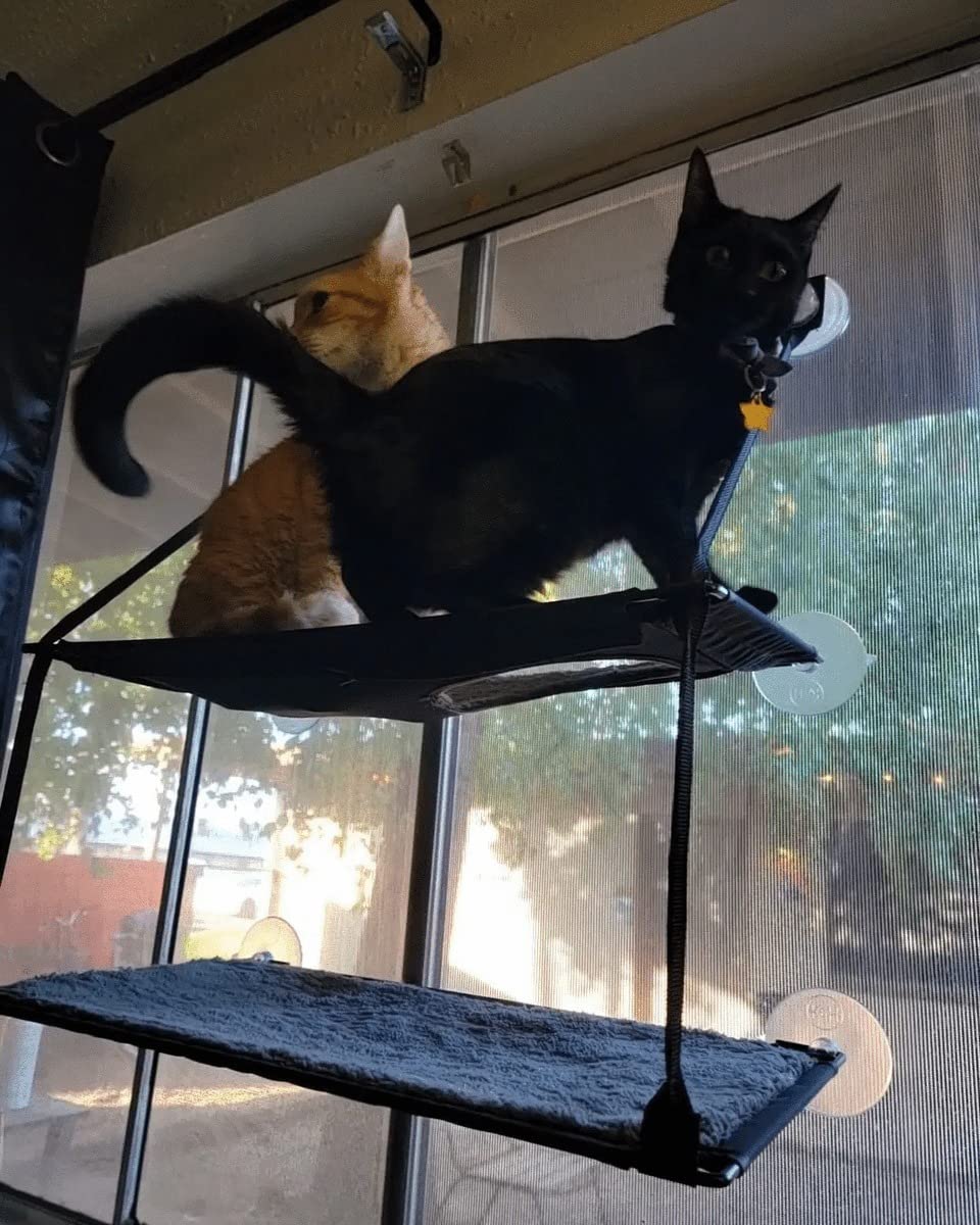 K&H Cat Window Perch, EZ Mount Double Stack Kitty Sill For Large Cats, Gray customer photo 2