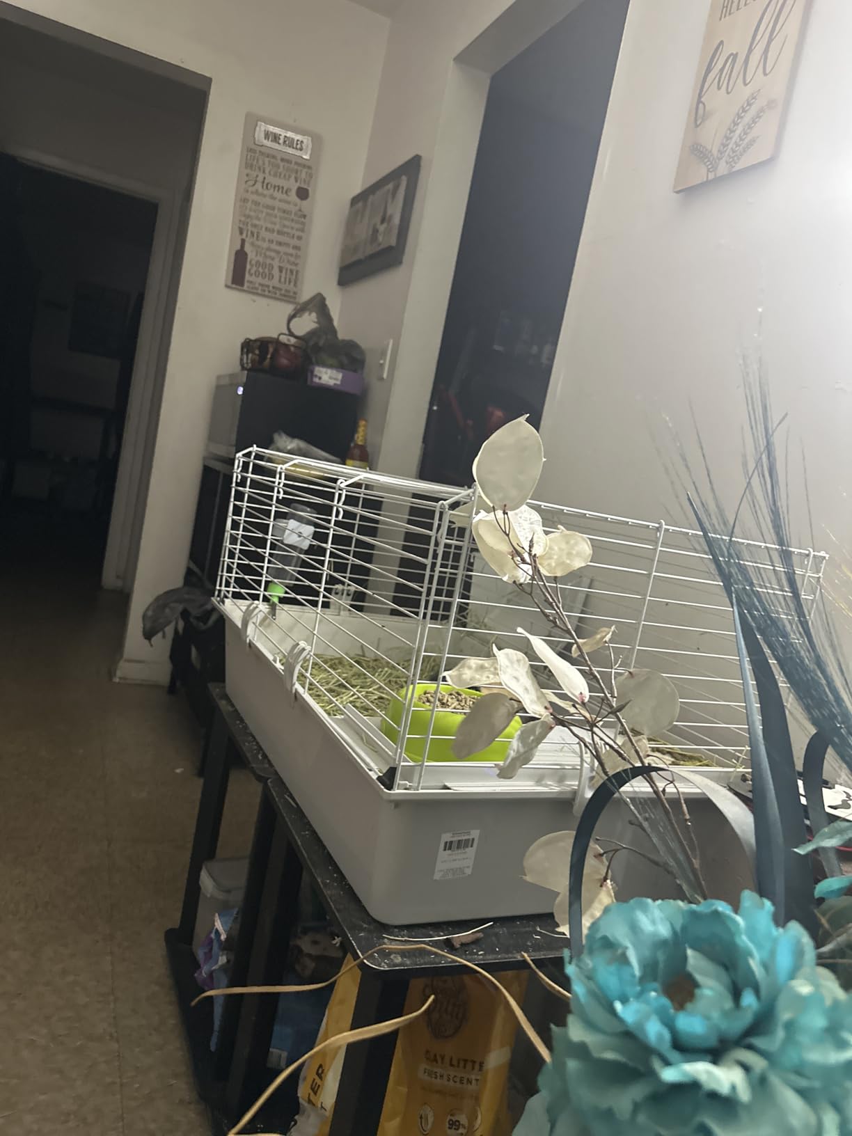 Ferplast Cavie Guinea Pig Cage & Rabbit Cage | Pet Cage Includes All Accessories to Get You Started & a 1-Year Warranty customer photo 2