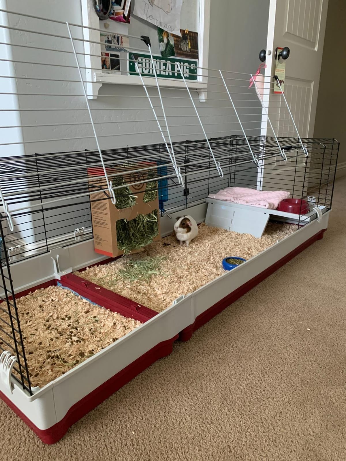 Ferplast Krolik XXL Rabbit Cage w/Wire Extension | Rabbit Cage Includes All Accessories & Measures 63.8L x 23.62W x 19.68H Inches | 1-Year Warranty customer photo 1