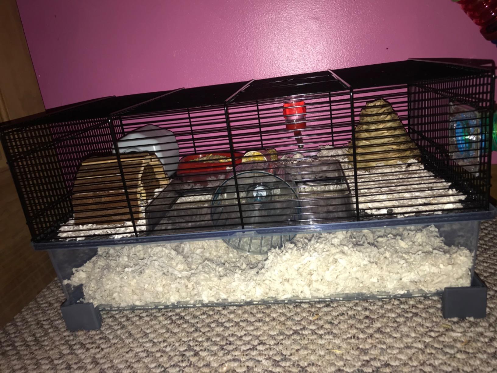 Ferplast Favola Hamster Cage Includes Free Water Bottle, Exercise Wheel, Food Dish & Hamster Hide-Out Large Hamster Cage Measures 23.6L x 14.4W x 11.8H-Inches customer photo 1