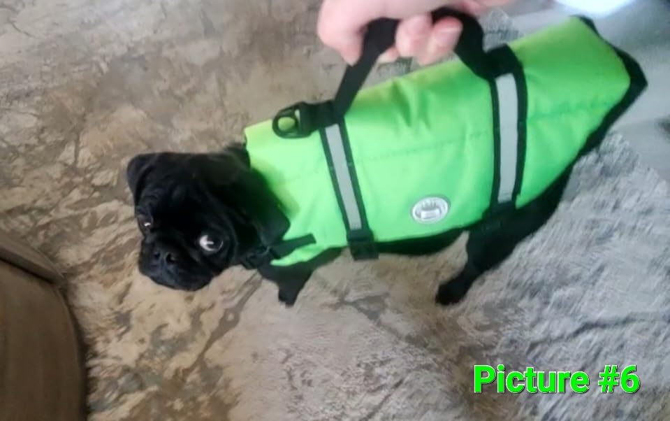 VIVAGLORY Dog Life Vest Rip Stop Dog Swim Vest, L, Bright Yellow customer photo 1