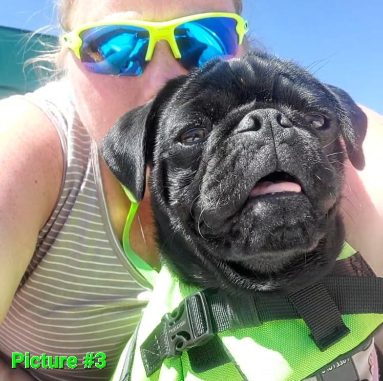 VIVAGLORY Dog Life Vest Rip Stop Dog Swim Vest, L, Bright Yellow customer photo 2