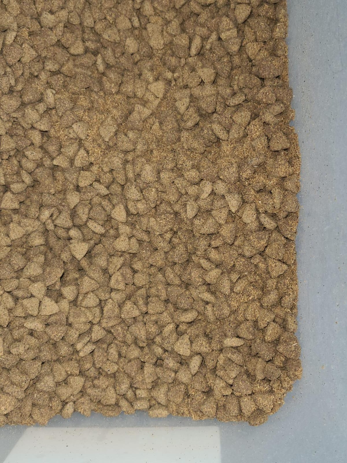 Purina Pro Plan Sensitive Skin & Stomach Dry Dog Food, Real Lamb, 24 lb Bag customer photo 2