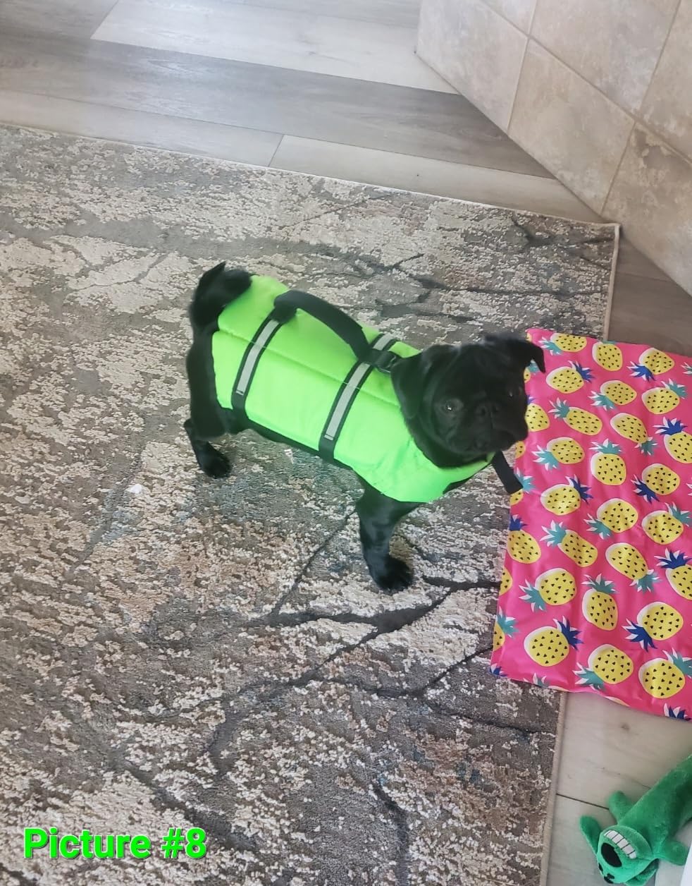 VIVAGLORY Dog Life Vest Rip Stop Dog Swim Vest, L, Bright Green customer photo 1