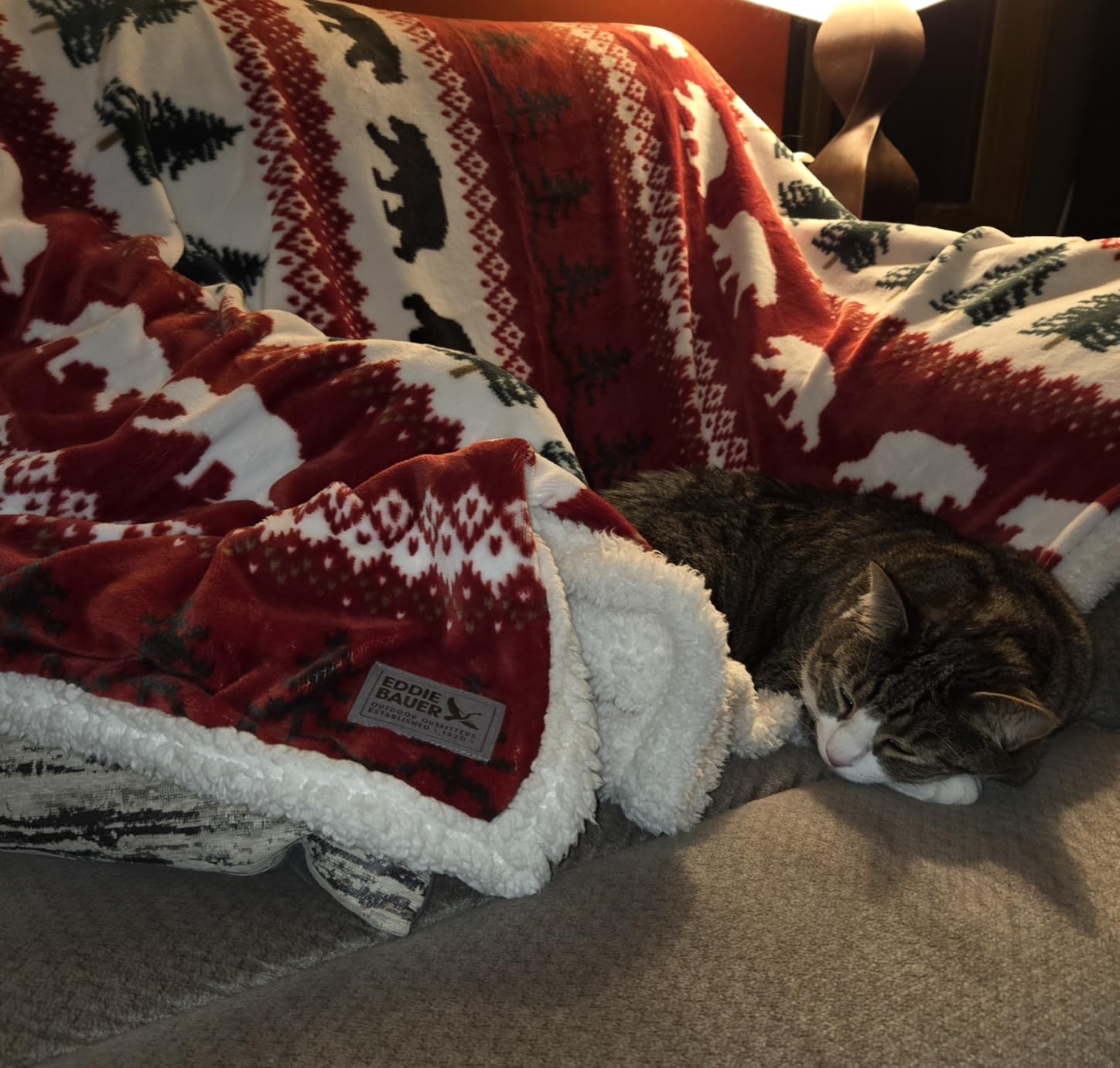 Eddie Bauer - Sherpa Throw Blanket for Couch 50x60 – Ultra Soft Reversible Fleece & Plush Sherpa Blanket, Warm Cozy Geometric Throw for Sofa, Bed, Living Room Decor customer photo 2
