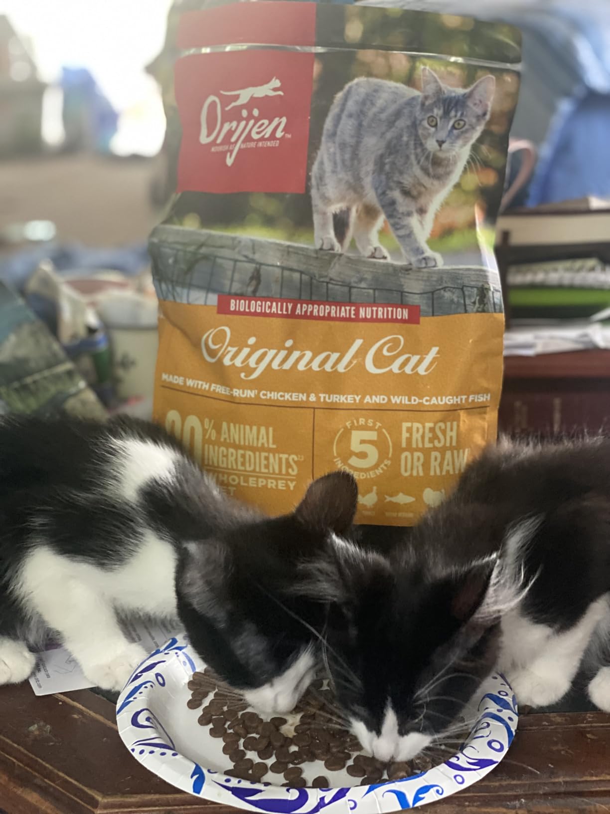 ORIJEN Grain Free WHOLEPREY Dry Cat Food Original Recipe 4lb Bag customer photo 2