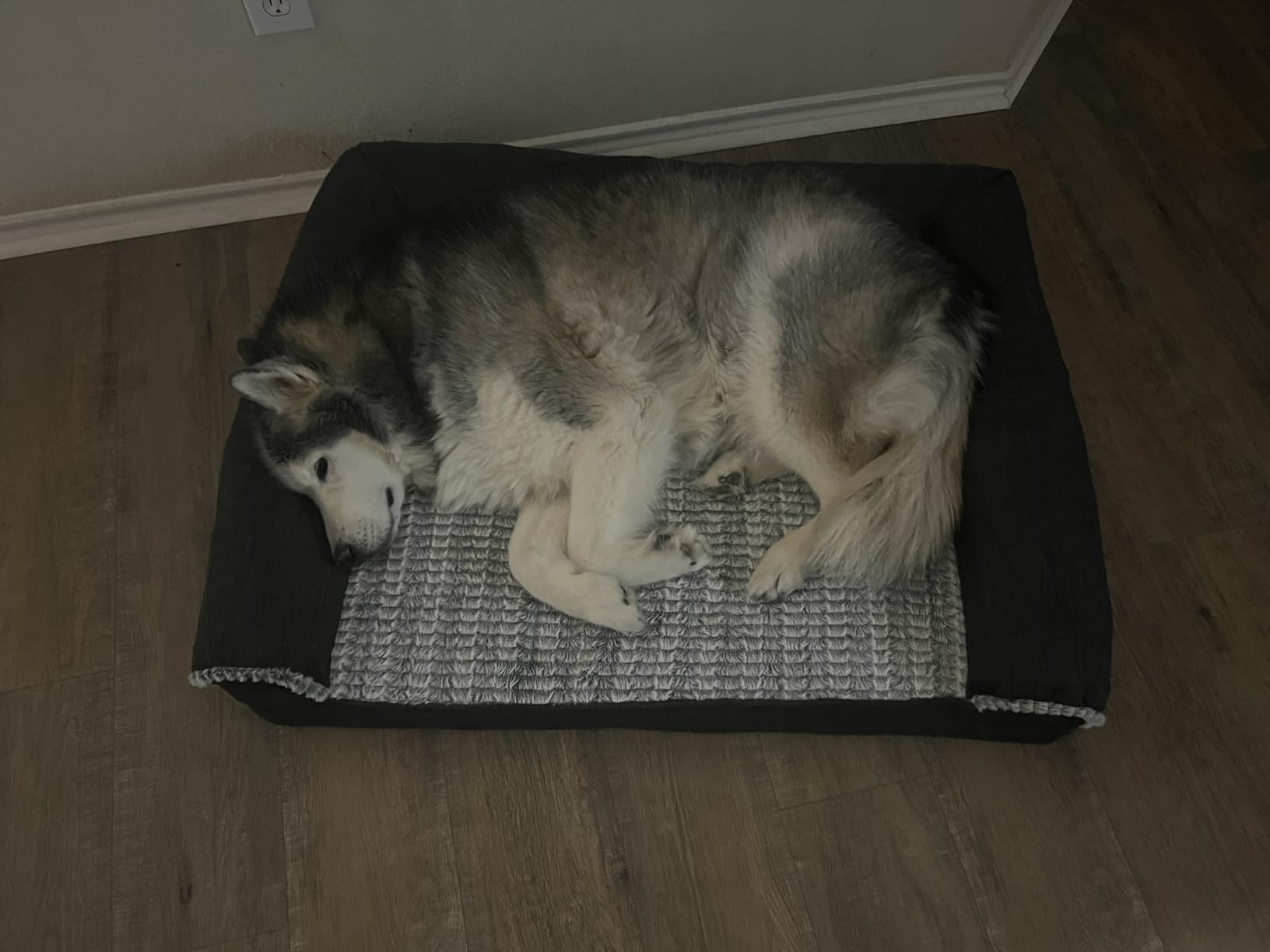 Furhaven Orthopedic Dog Bed for Medium/Small Dogs w/ Removable Bolsters & Washable Cover, For Dogs Up to 35 lbs - Plush & Suede Sofa - Gray, Medium customer photo 2
