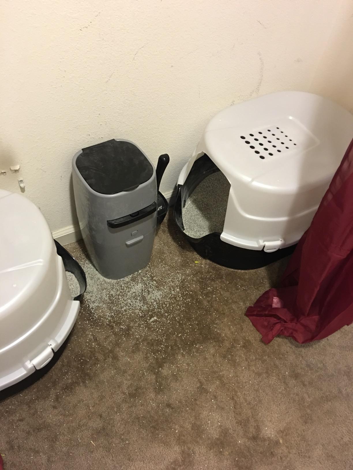 Nature's Miracle Hooded Flip Top Cat Litter Box with Charcoal Filter customer photo 2