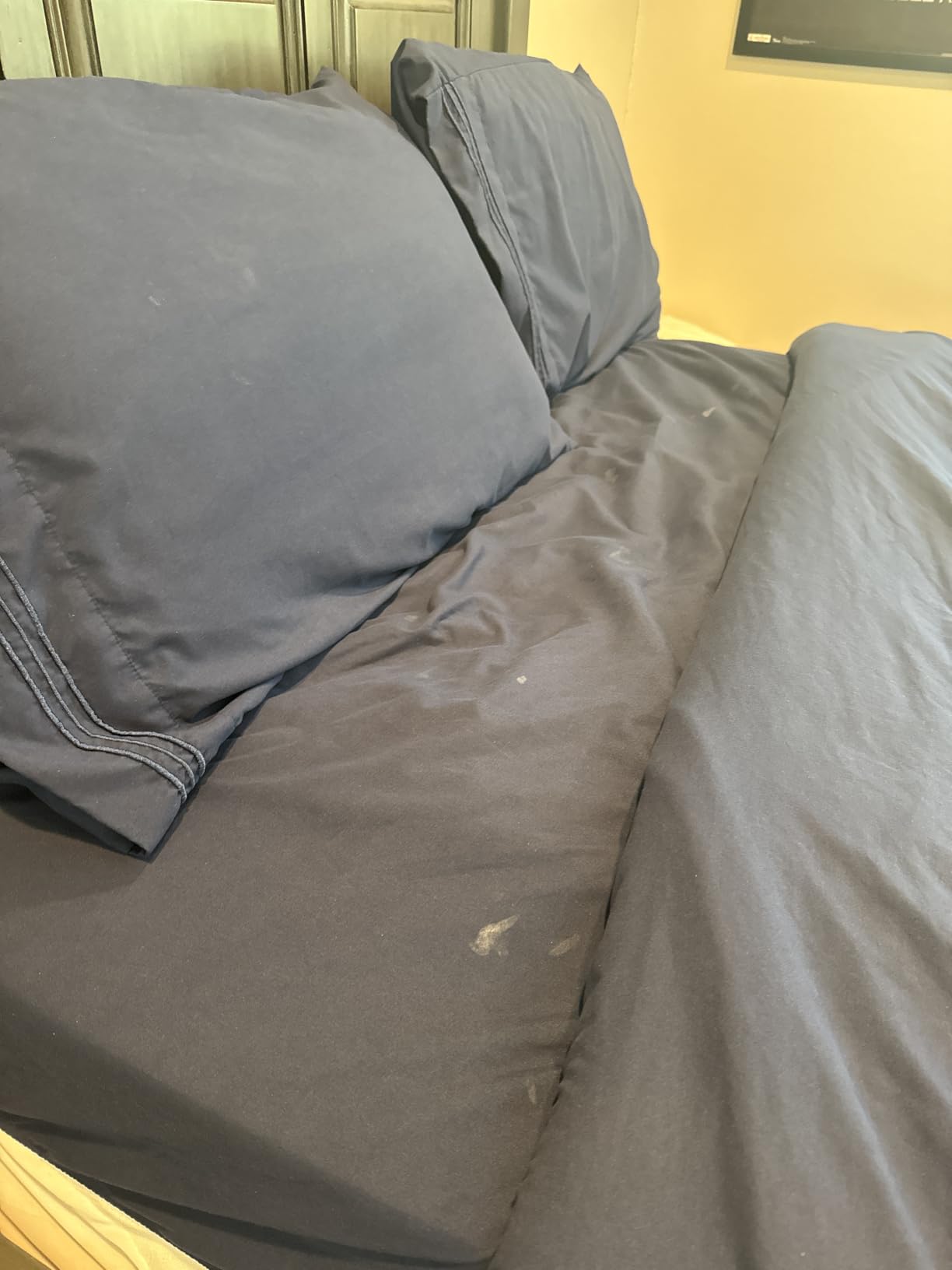 Queen Size 4 Piece Sheet Set - Comfy Breathable & Cooling Sheets - White customer photo 1