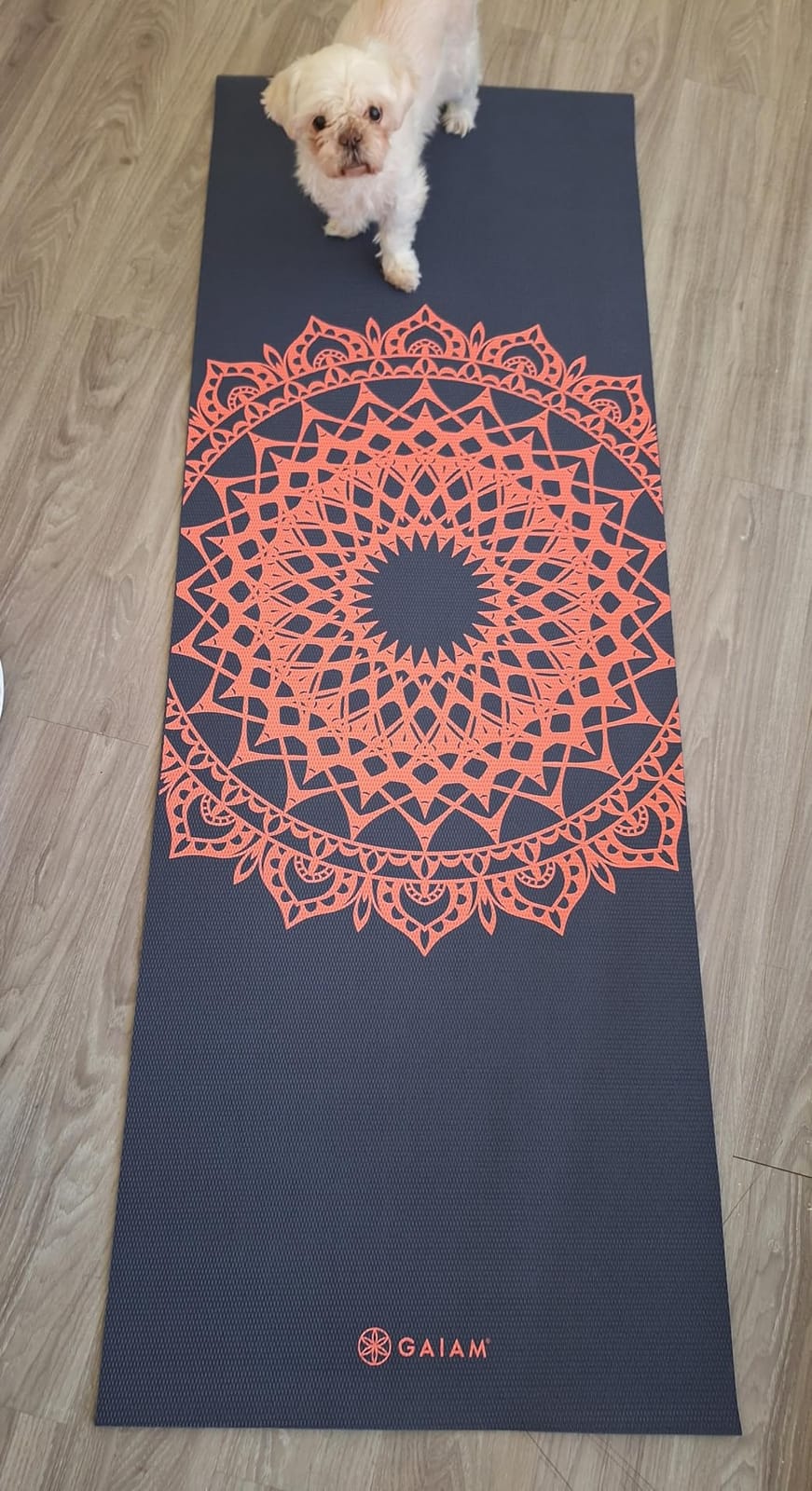 Gaiam Yoga Mat Classic Print, 4mm Non-Slip Mat customer photo 1