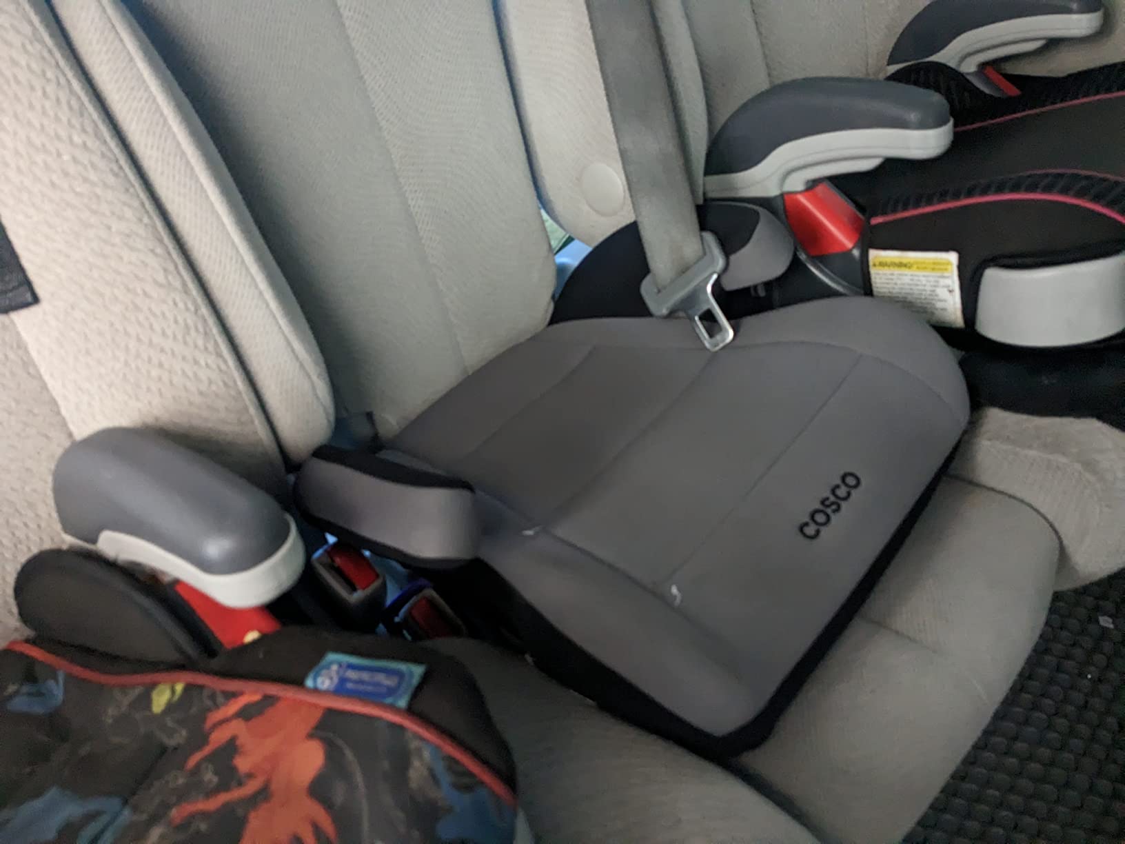 Cosco Topside Backless Booster Car Seat, Lightweight Booster Seats for Cars 40-100 lbs, Backless Booster Seat for Car, Grape customer photo 2