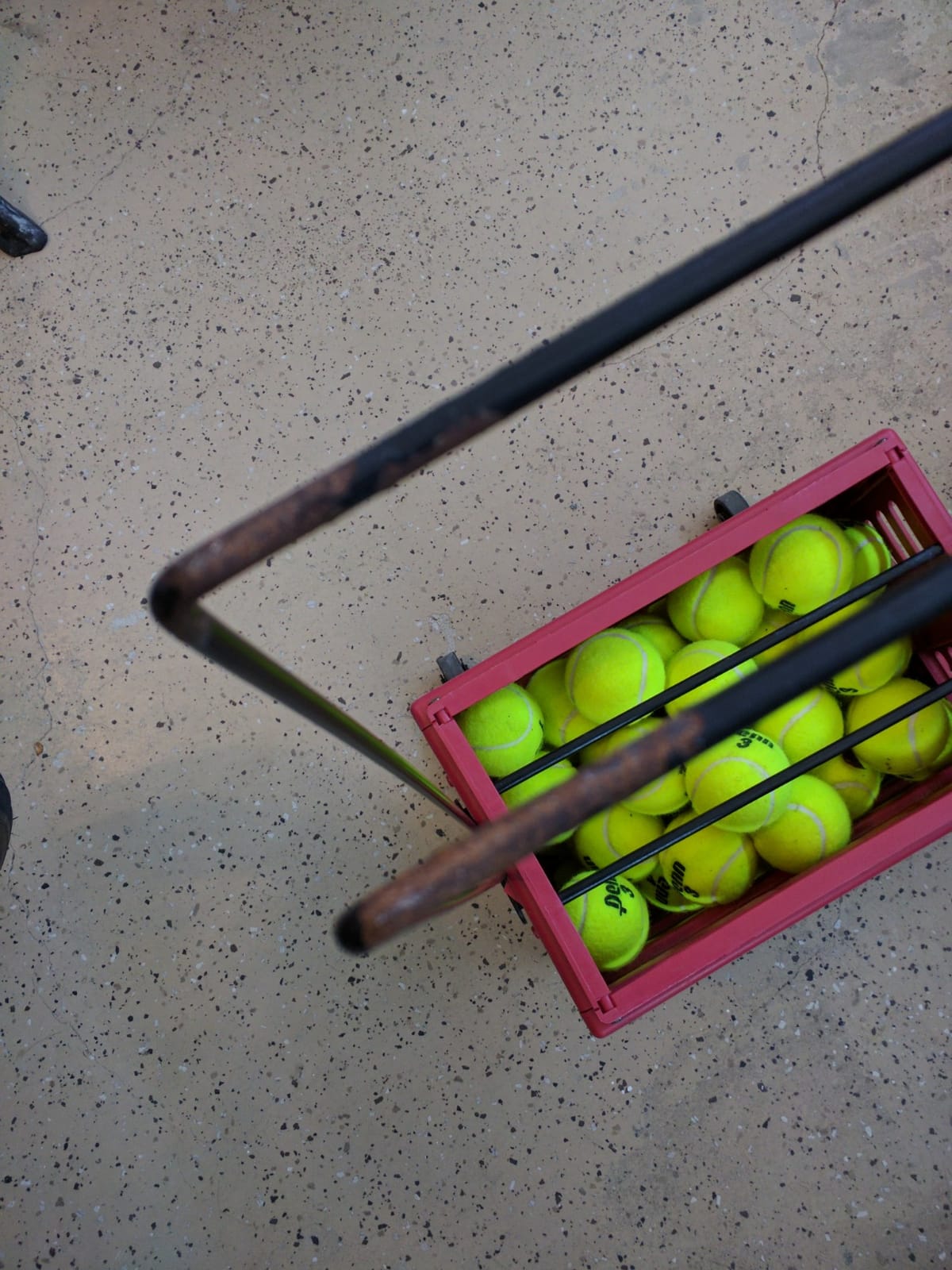 Tourna Ballport Deluxe Tennis Ball Hopper with Wheels customer photo 2