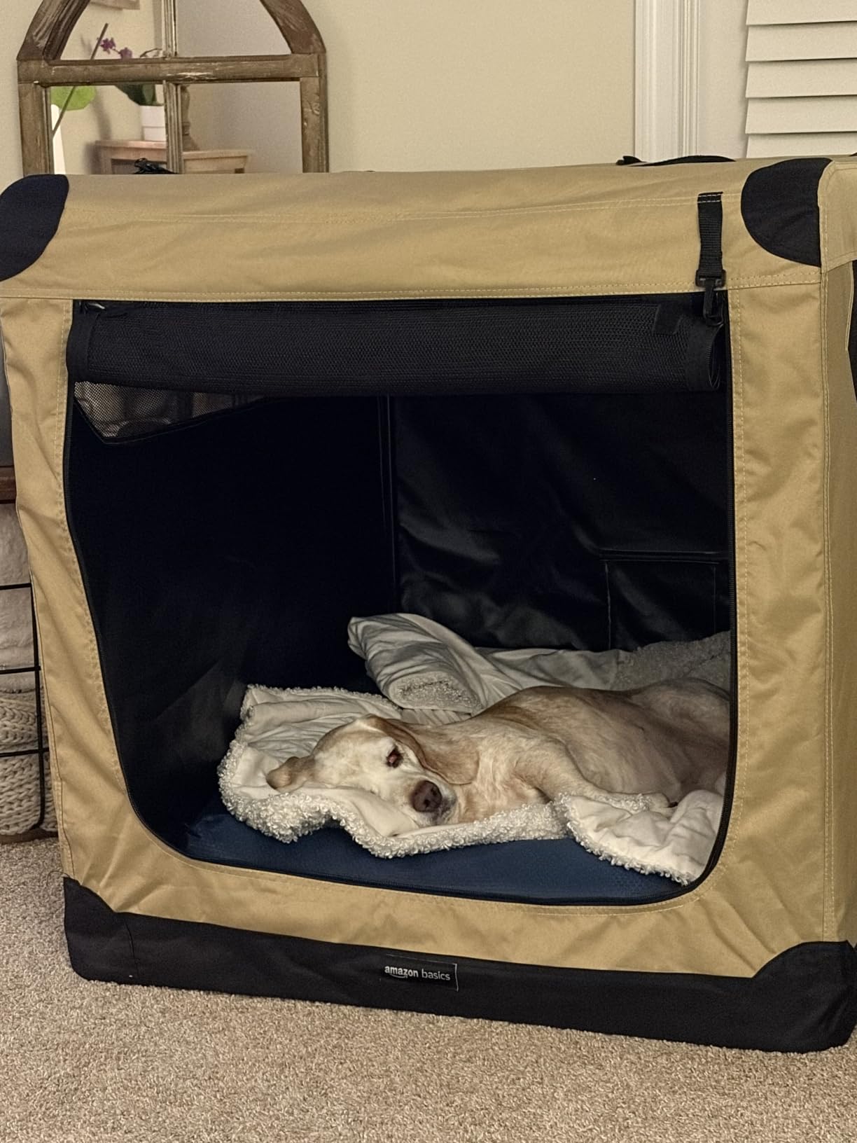 Amazon Basics Portable Folding Soft Dog Crate, Double Door, Collapsible Travel Kennel, Easy to Assemble, Medium, 29.92