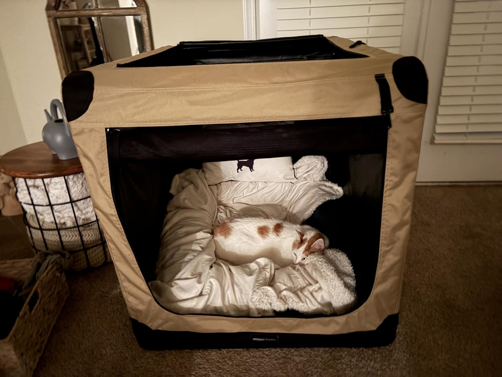 Amazon Basics Portable Folding Soft Dog Crate, Double Door, Collapsible Travel Kennel, Easy to Assemble, Medium, 29.92