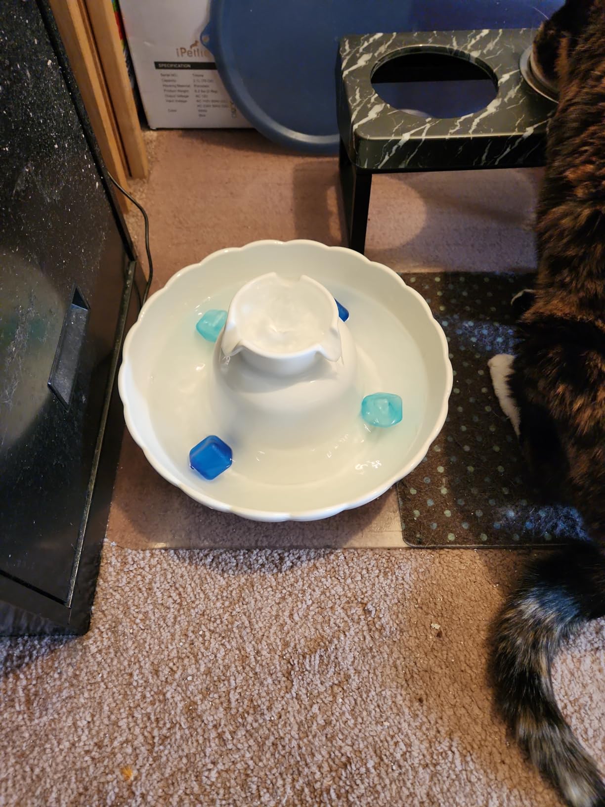 iPettie Tritone Ceramic Cat Water Fountain, Heavy-Duty Waterer for Pets customer photo 1