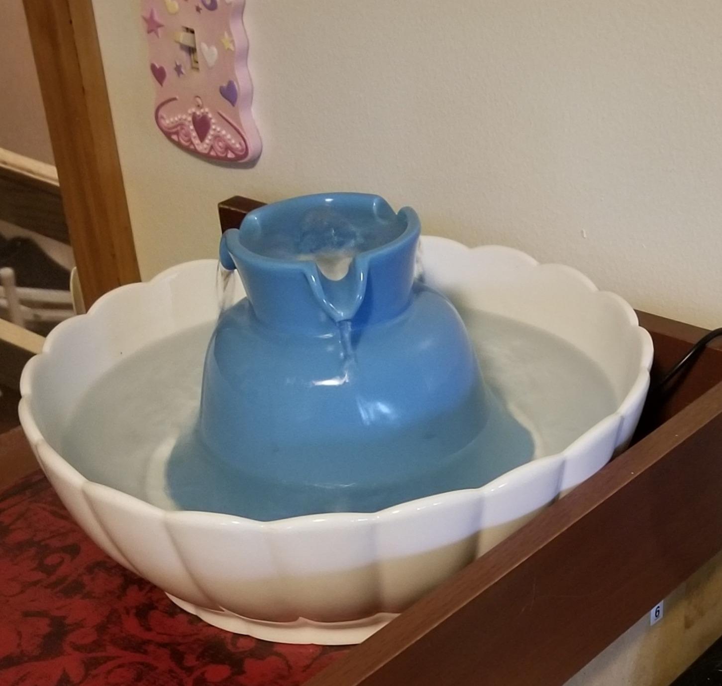 iPettie Tritone Ceramic Cat Water Fountain, Heavy-Duty Waterer for Pets customer photo 2