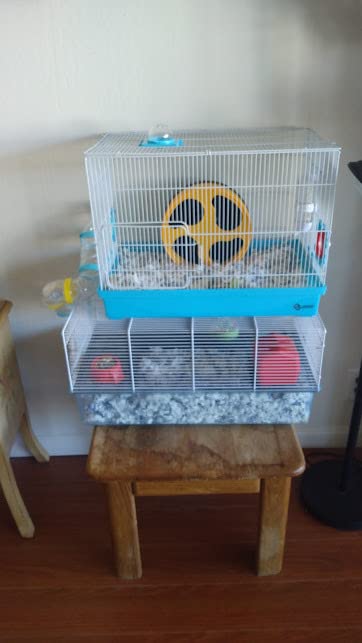 Super Large Hamster DIY 20‘’x12''x15'' Cage Habitat with Complete Tunnel Module (Blue) customer photo 1