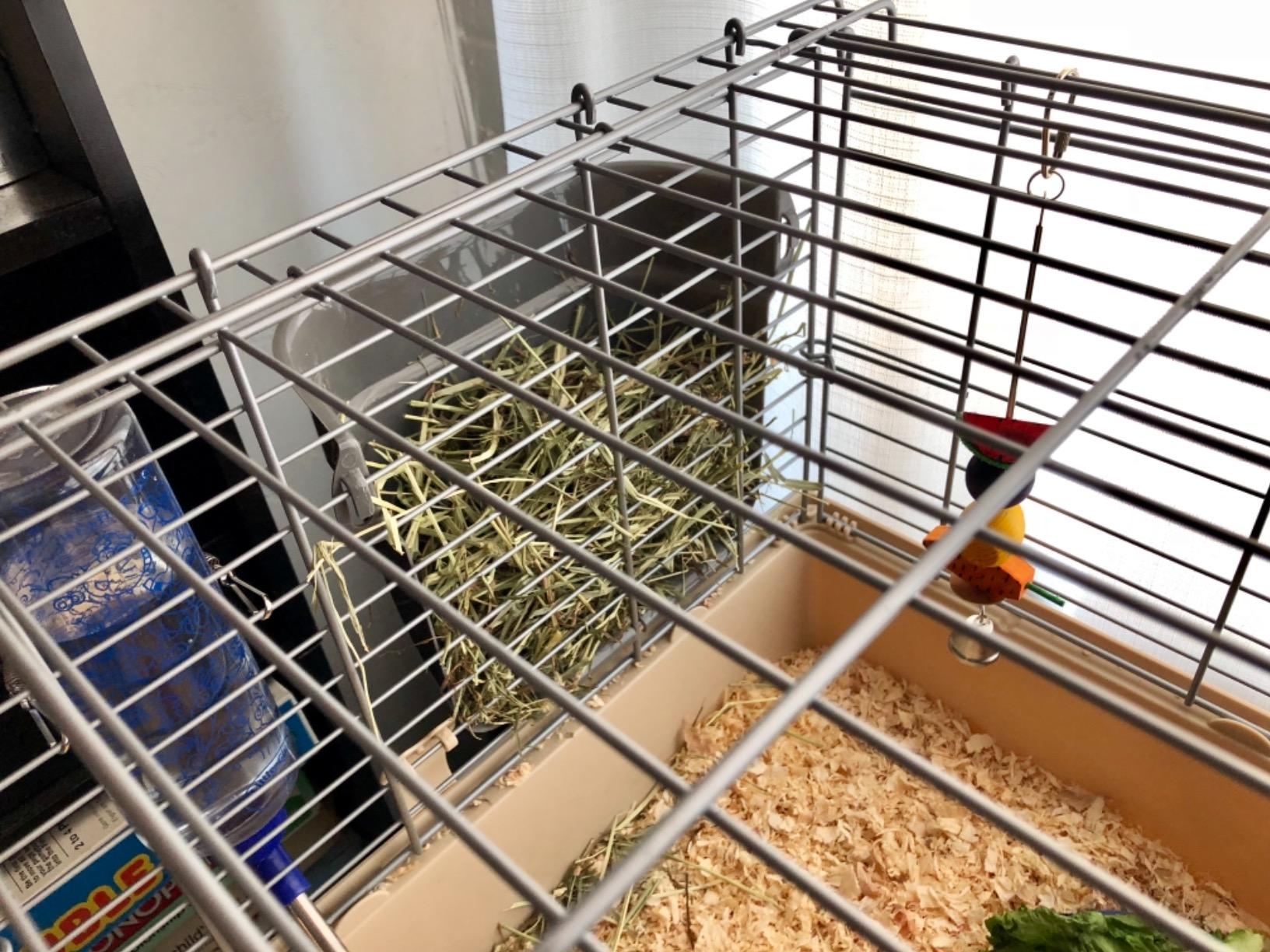 Amazon Basics Top Access Small Animal Habitat for Rabbit, Guinea Pig, Ferret & Chinchilla with Accessories, Jumbo, 48.6