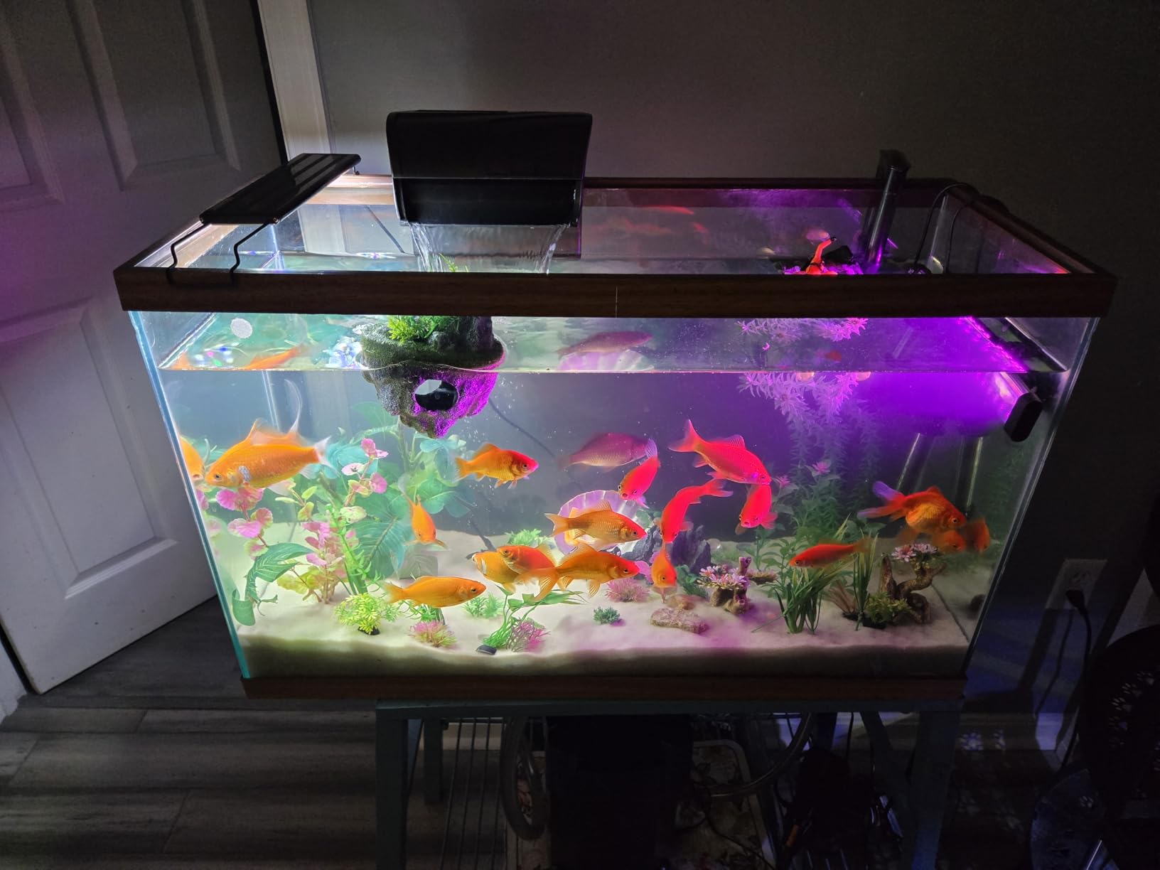 Aqueon QuietFlow Canister Aquarium Filter, Up to 55 Gallons (ECOM) customer photo 2
