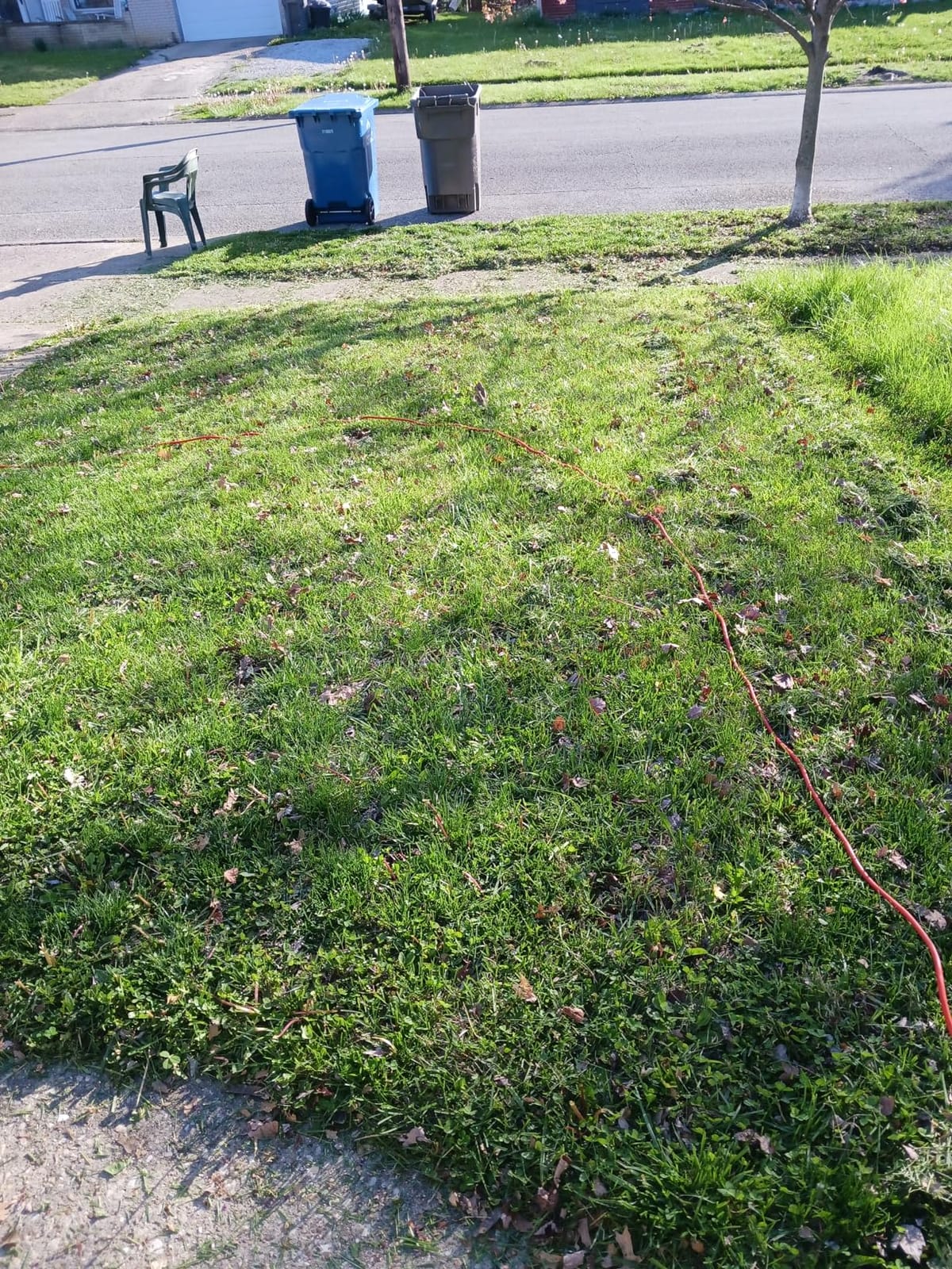 BLACK+DECKER Electric Lawn Mower with Bike Handle, 15-Inch, 10-Amp, Corded (BEMW472BH) customer photo 2