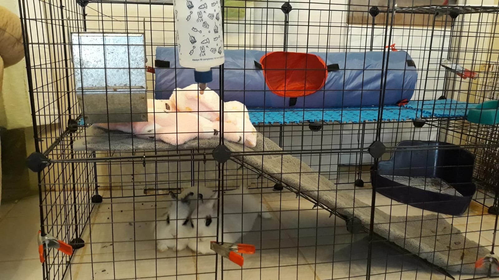 SONGMICS Pet Playpen, Small Animal Playpen customer photo 2