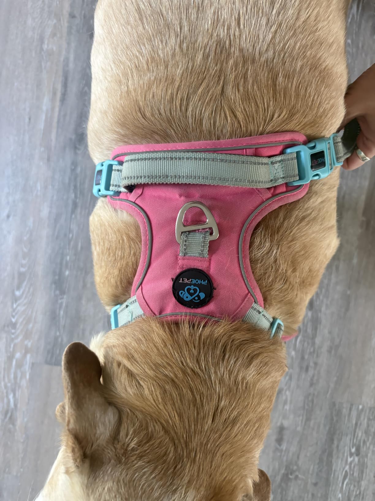 PHOEPET No Pull Dog Harness Medium Reflective Front Clip Vest with Handle customer photo 1