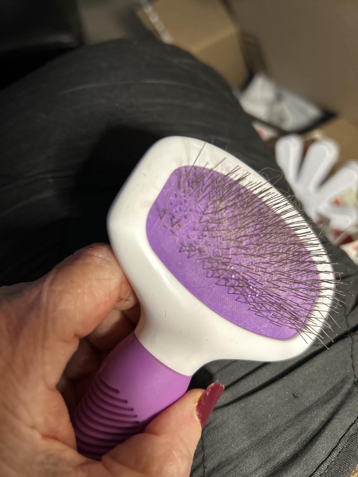 Poodle Pet Slicker Brush - For Dogs, Cats, Rabbits - Matted/Loose Fur, Knots - Suitable for Doodle/Goldendoodle Grooming and Shredding Short/Long Hair customer photo 2