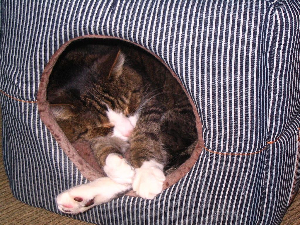 K&H Cat Window Perch, Unheated Kitty Sill, 24x14in, Fleece customer photo 1