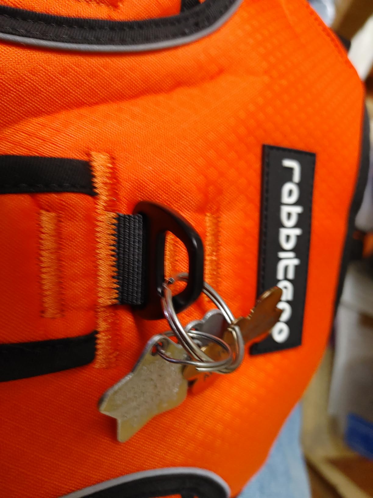 rabbitgoo Escape Proof Dog Harness for Large, No Pull with Lift Handle customer photo 1