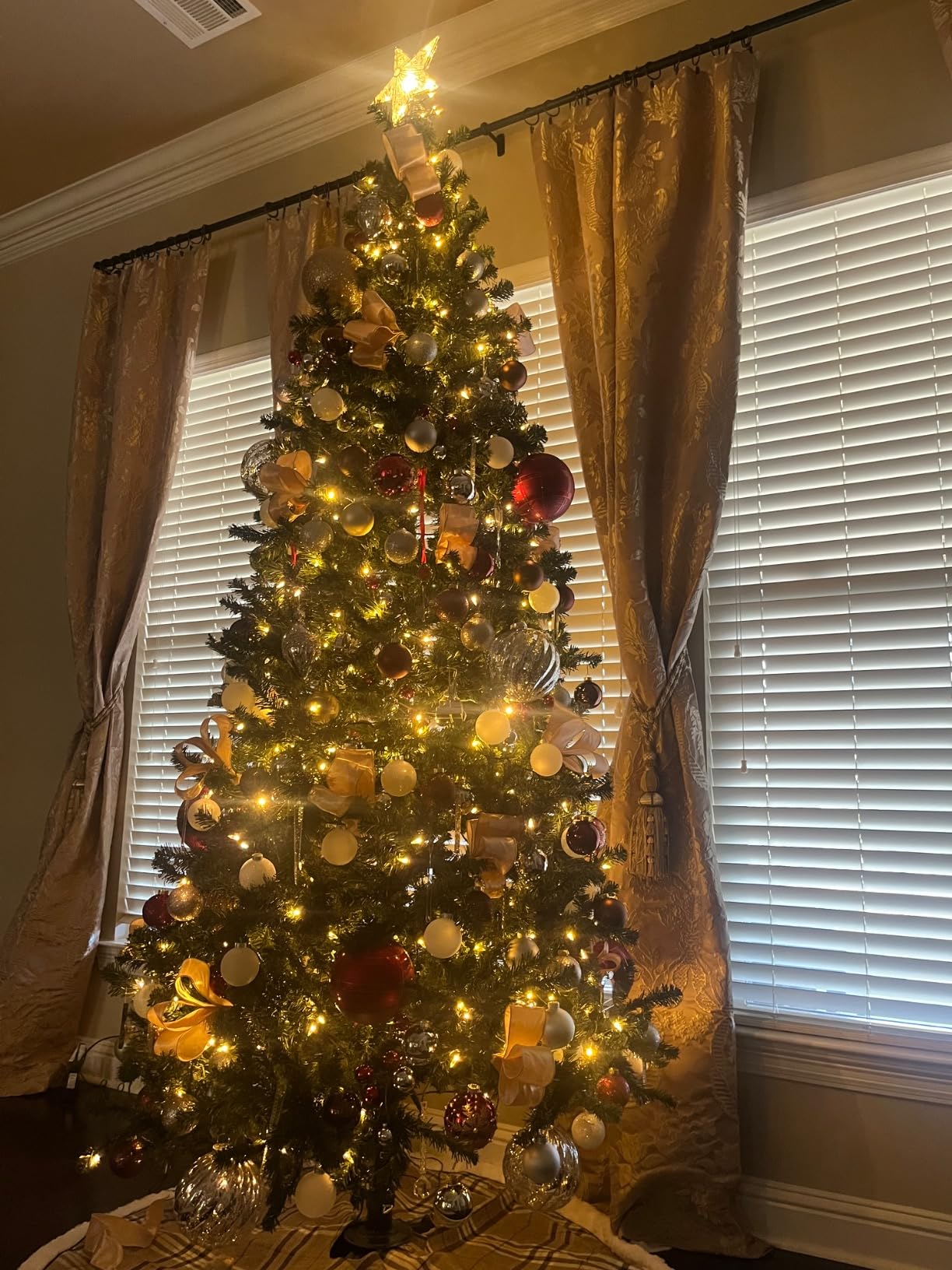 Brizled Outdoor Christmas Tree Lights, 65.67 ft 200 LED Indoor String Light customer photo 2