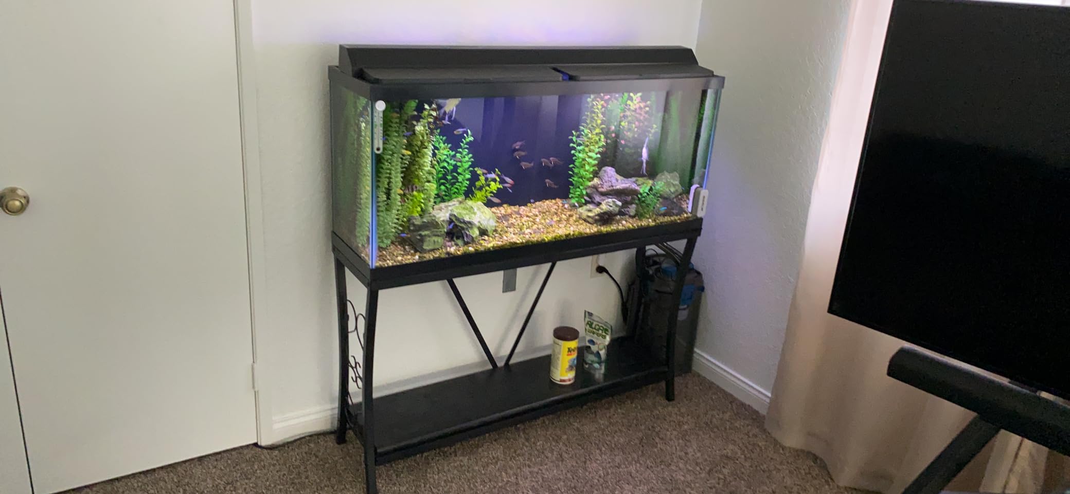 OASE BioMaster Thermo External Filter with Built-in Heater for Aquariums up to 160 gallons, Multi-stage Filtration, Easy Maintenance Prefilter, Quiet Canister Filter, German Engineering customer photo 2